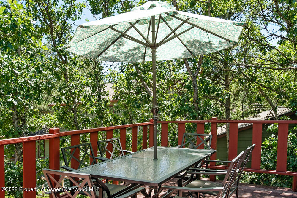 902 Red Mountain Drive Glenwood Springs CO 81601