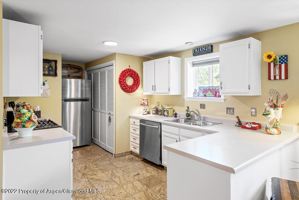 902 Red Mountain Drive Glenwood Springs CO 81601