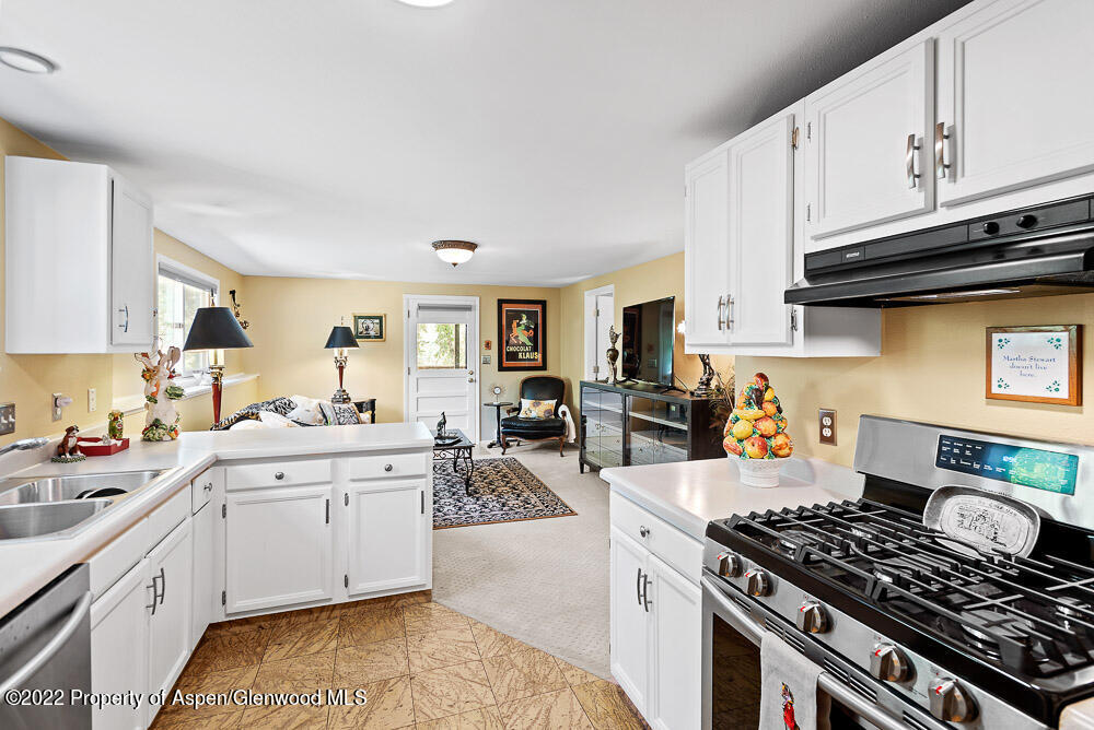 902 Red Mountain Drive Glenwood Springs CO 81601