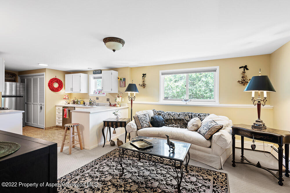 902 Red Mountain Drive Glenwood Springs CO 81601