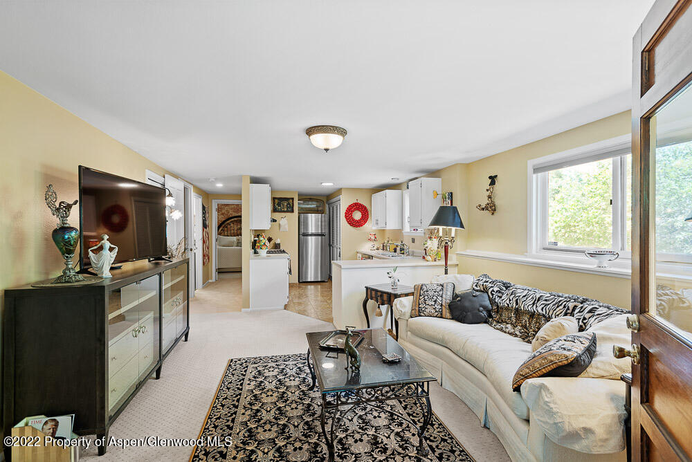 902 Red Mountain Drive Glenwood Springs CO 81601