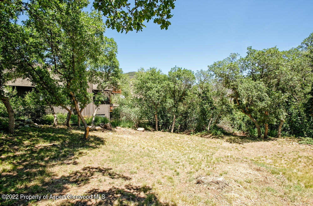 902 Red Mountain Drive Glenwood Springs CO 81601