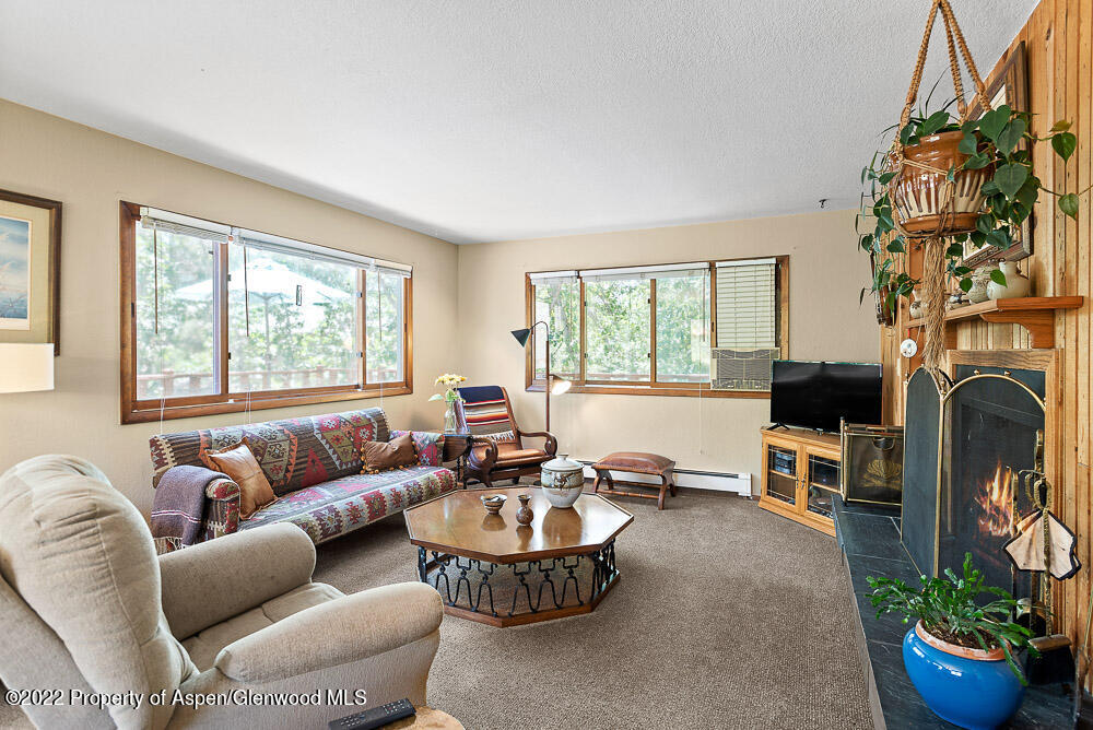 902 Red Mountain Drive Glenwood Springs CO 81601