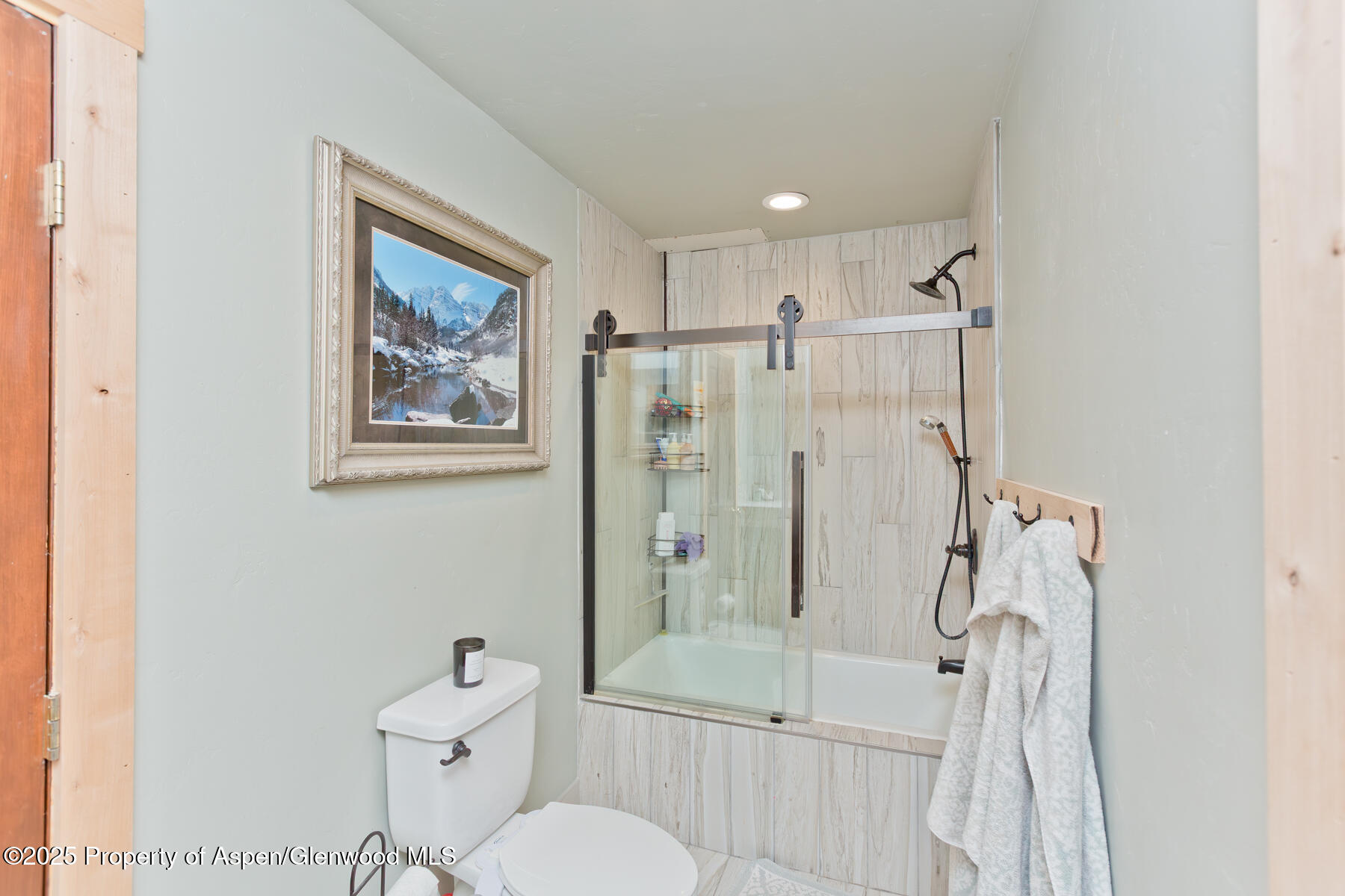 716 1/2 Minter Avenue Glenwood Springs CO 81601