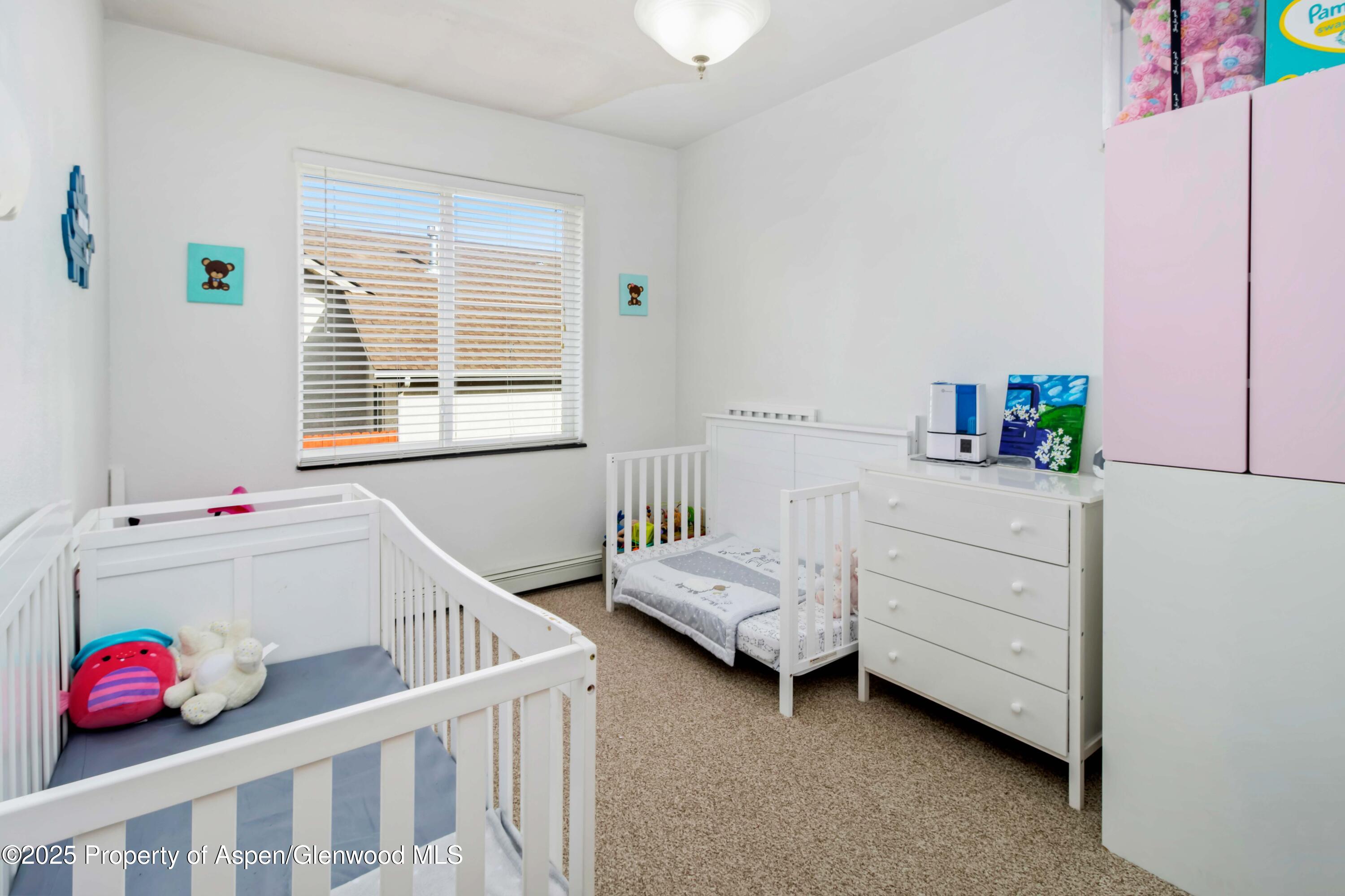 27 Snowberry Place Parachute CO 81635