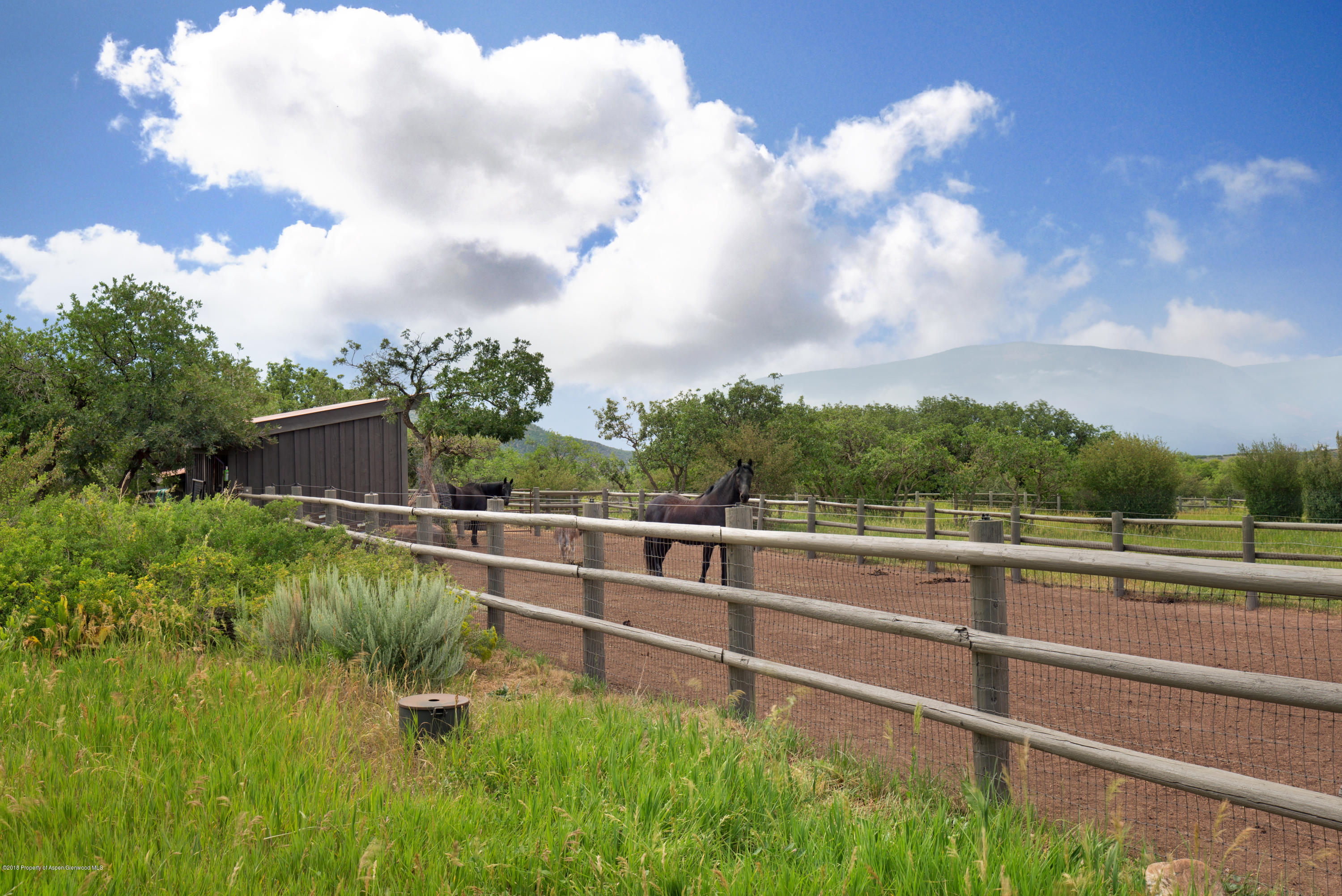 1601 Sopris Mountain Ranch Road Basalt CO 81621