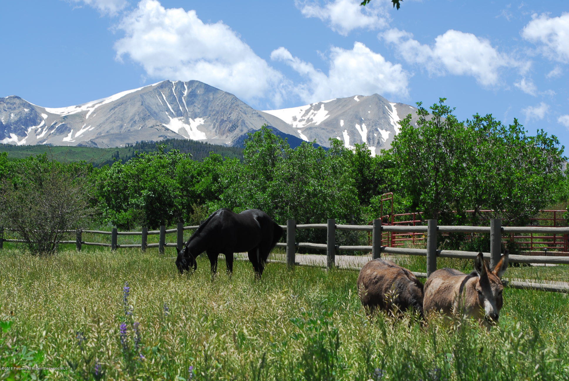 1601 Sopris Mountain Ranch Road Basalt CO 81621