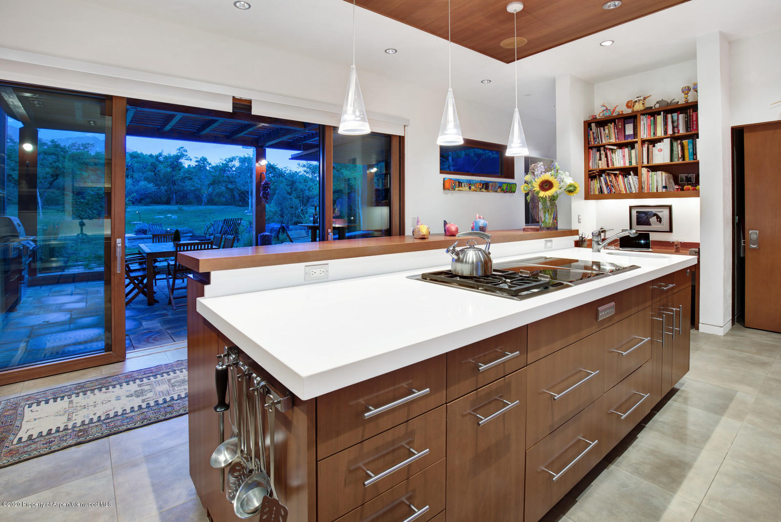 1601 Sopris Mountain Ranch Road Basalt CO 81621