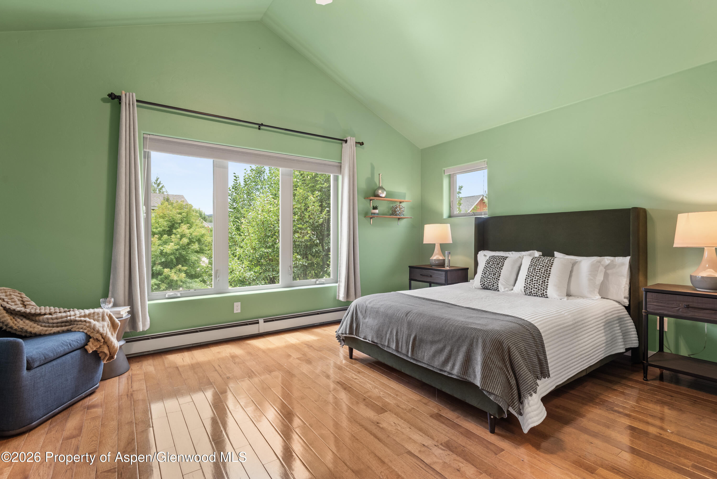 310 Linden Circle Carbondale CO 81623