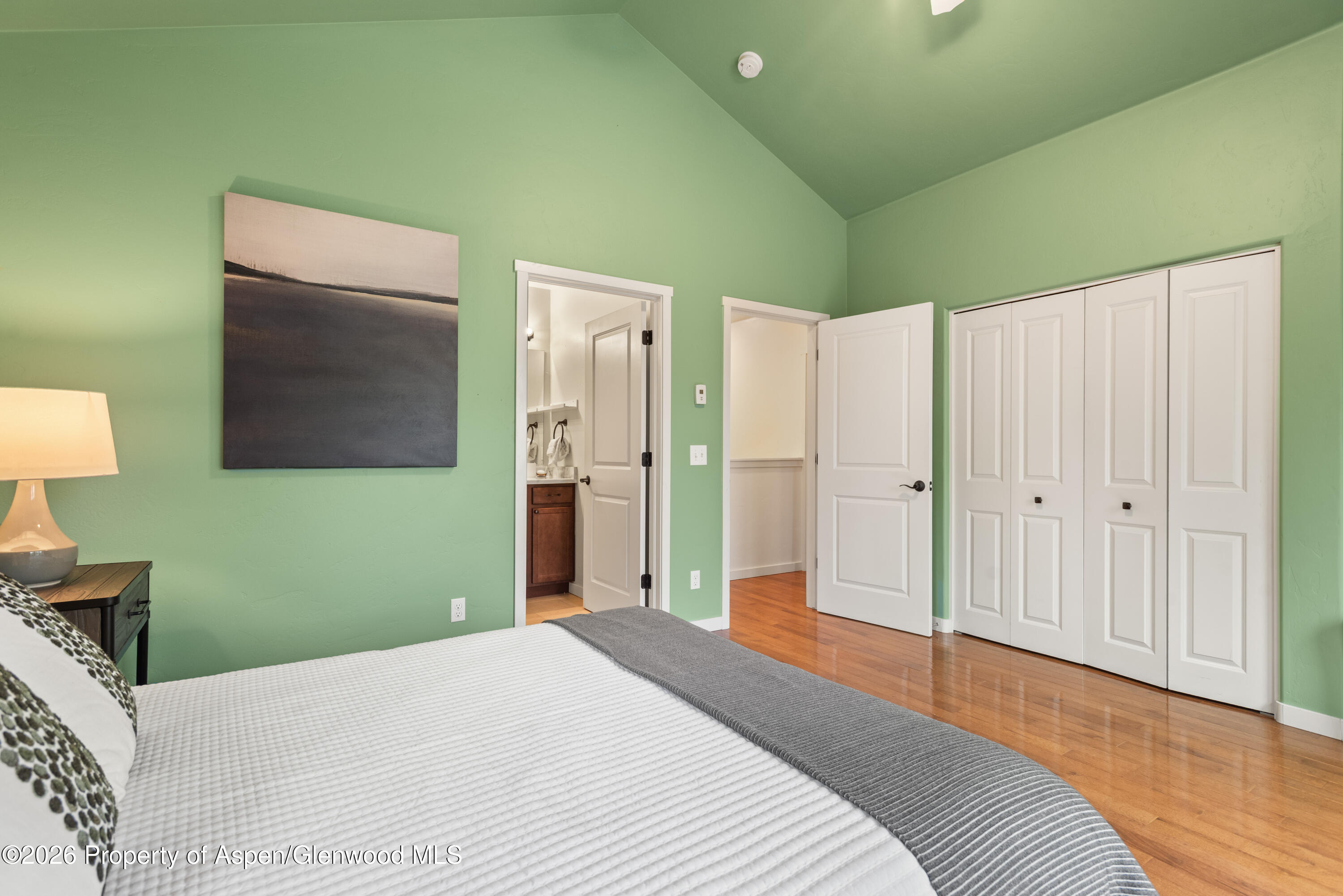 310 Linden Circle Carbondale CO 81623