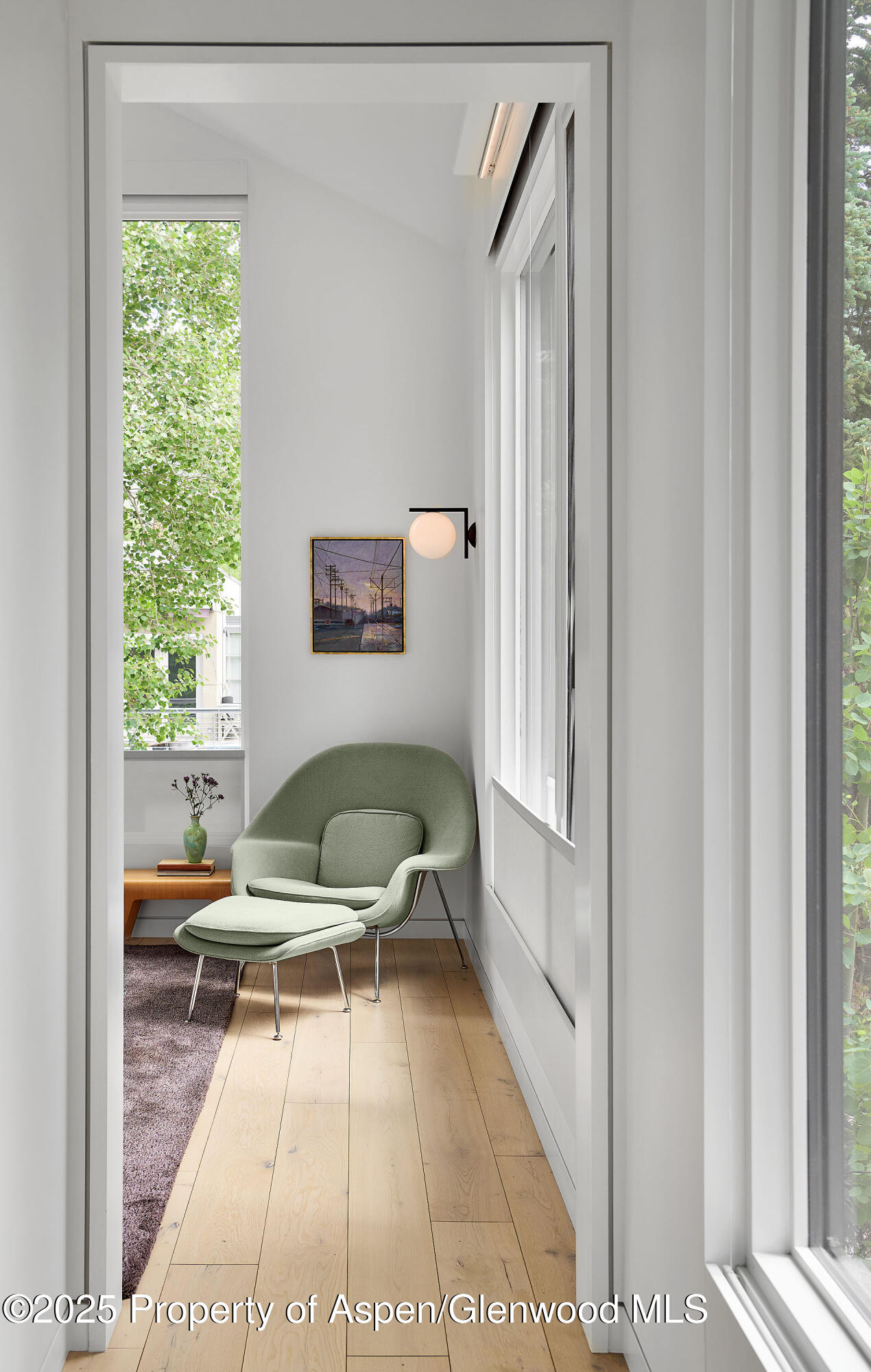 612 W Francis Street Aspen CO 81611