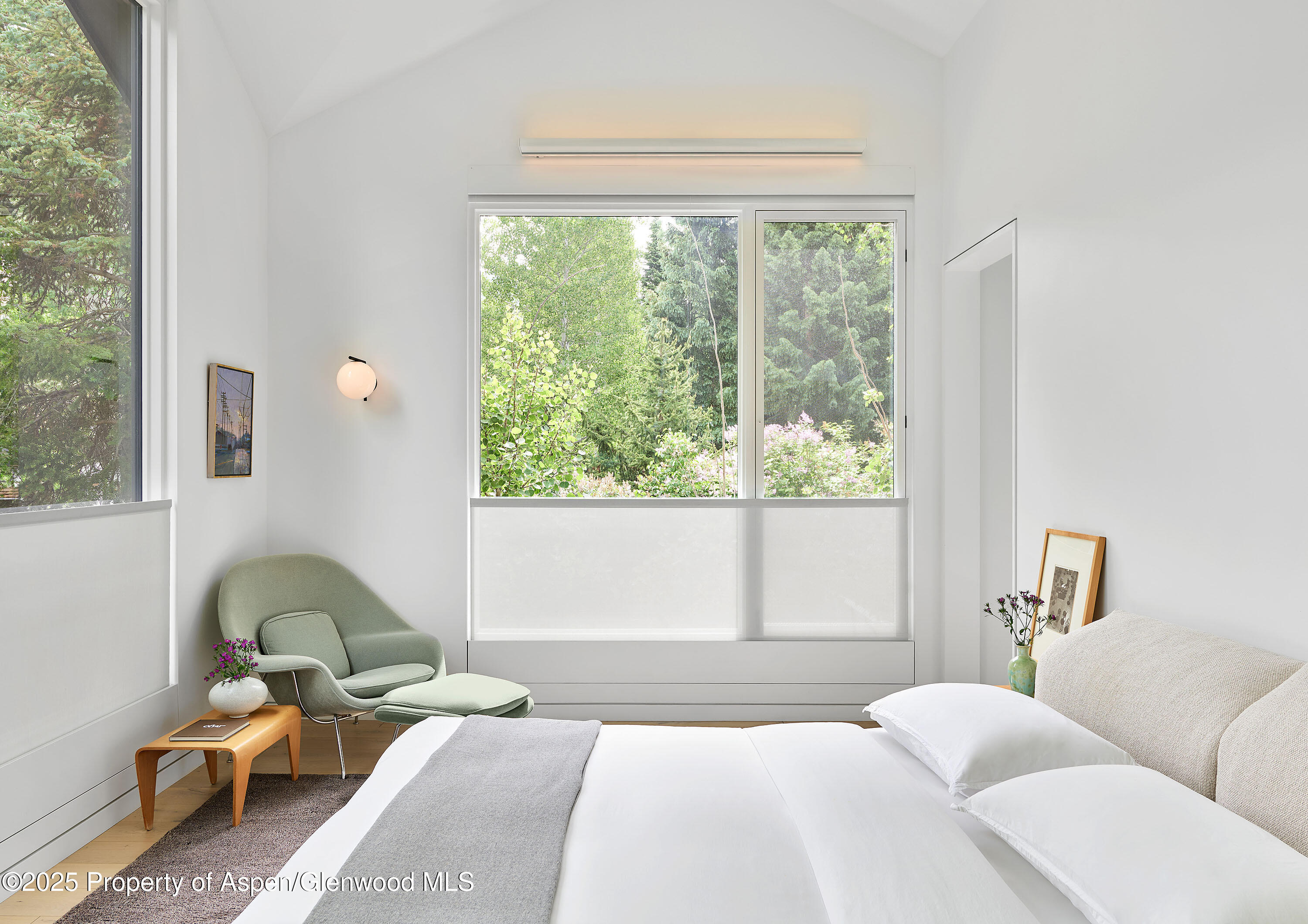 612 W Francis Street Aspen CO 81611