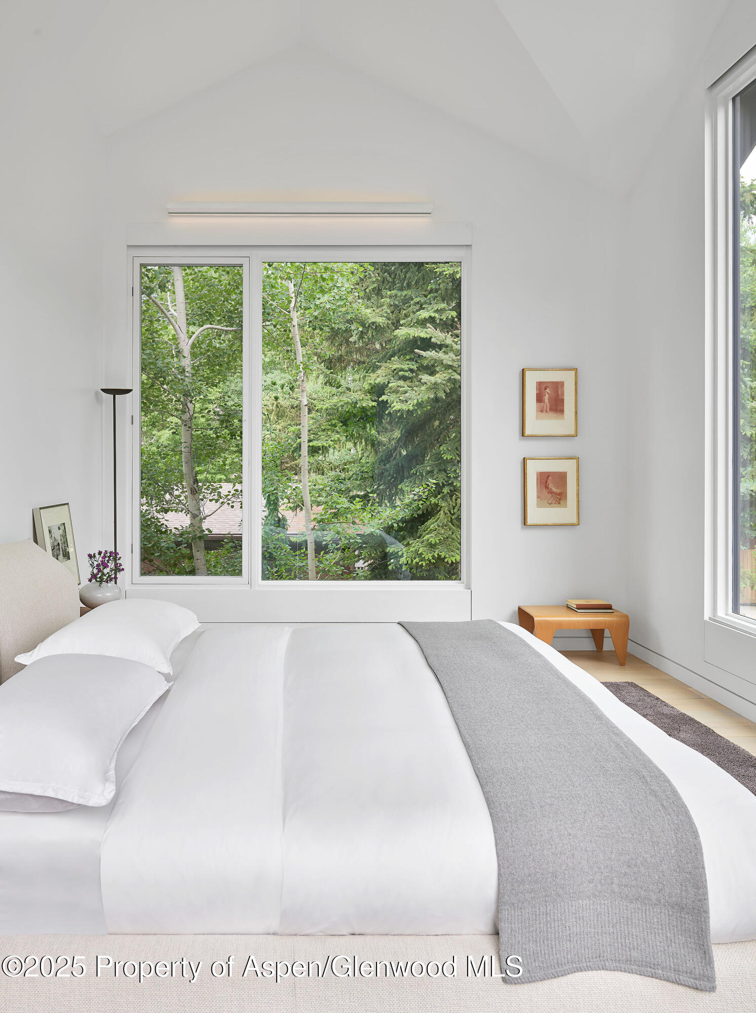 612 W Francis Street Aspen CO 81611