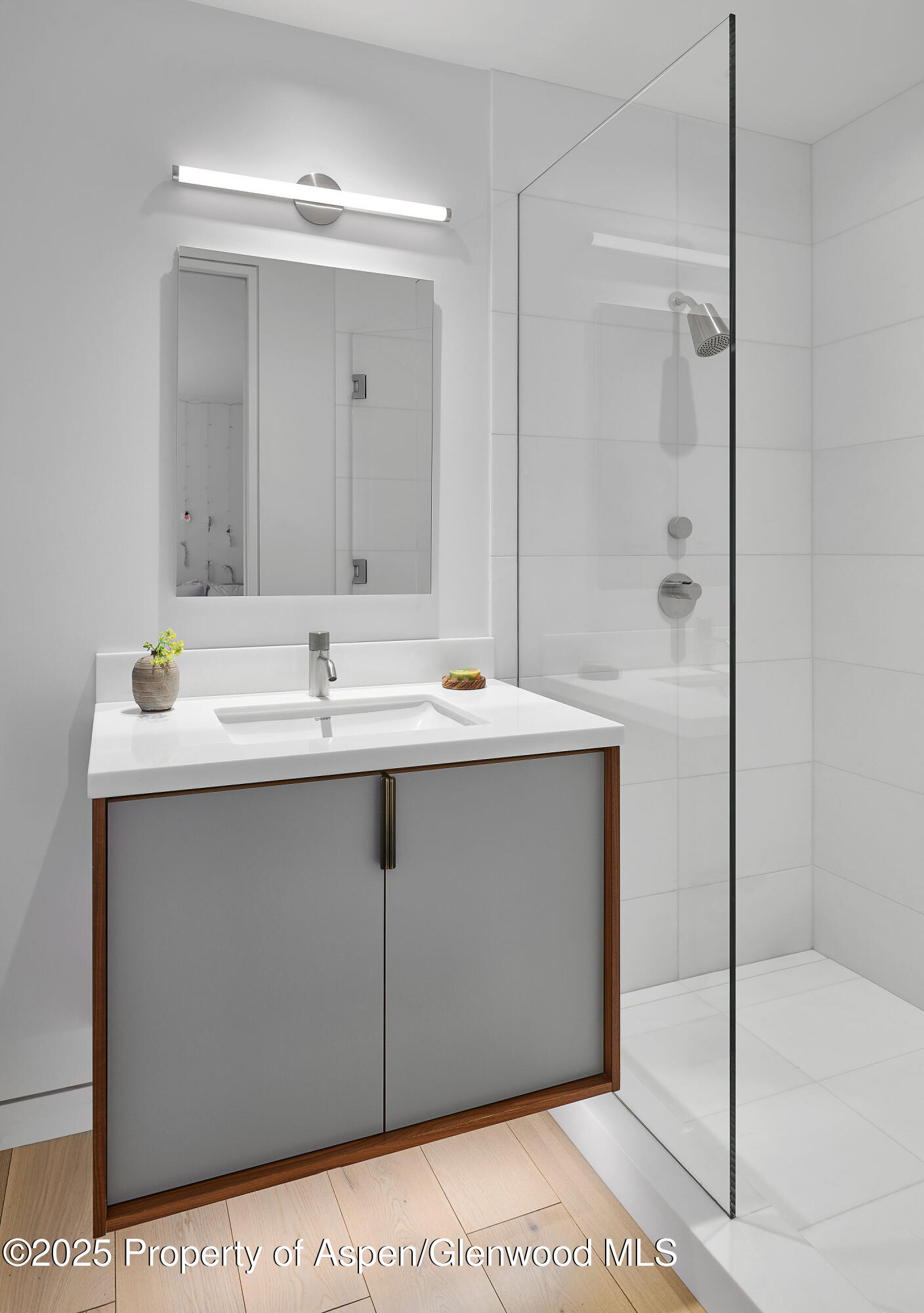 612 W Francis Street Aspen CO 81611