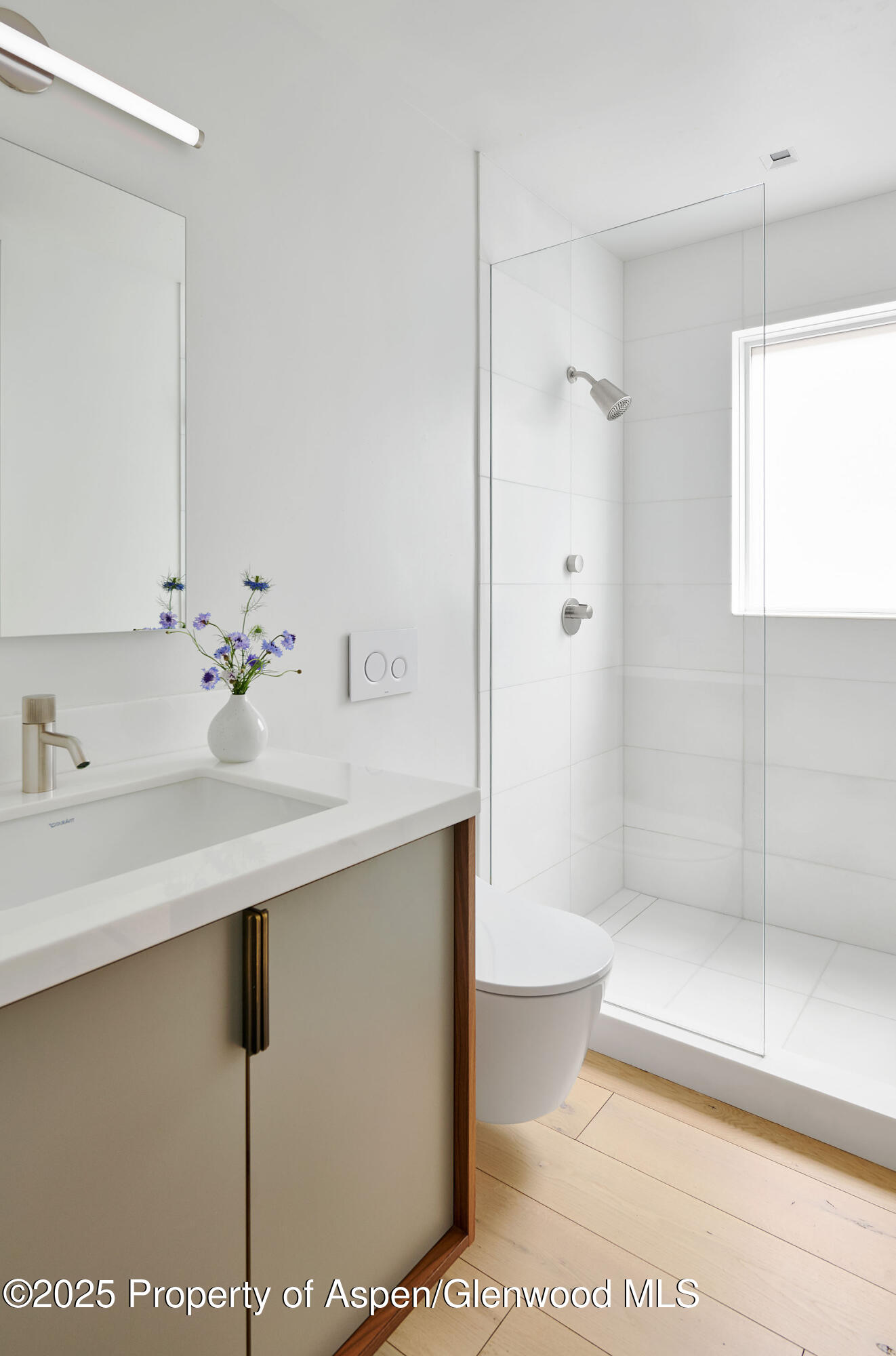 612 W Francis Street Aspen CO 81611