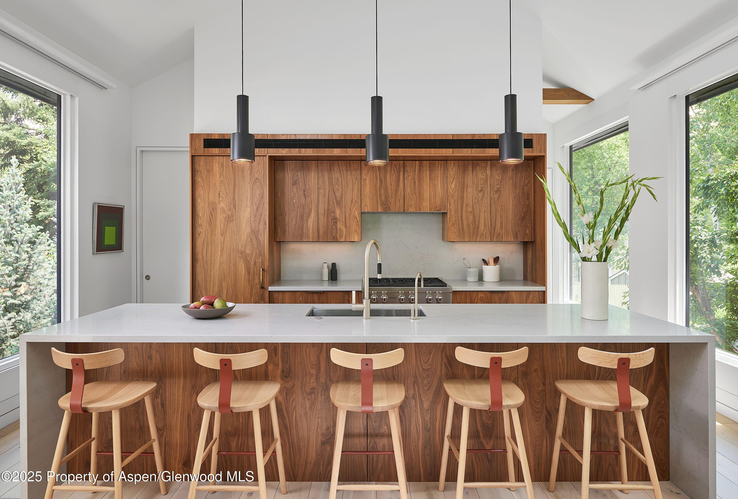 612 W Francis Street Aspen CO 81611