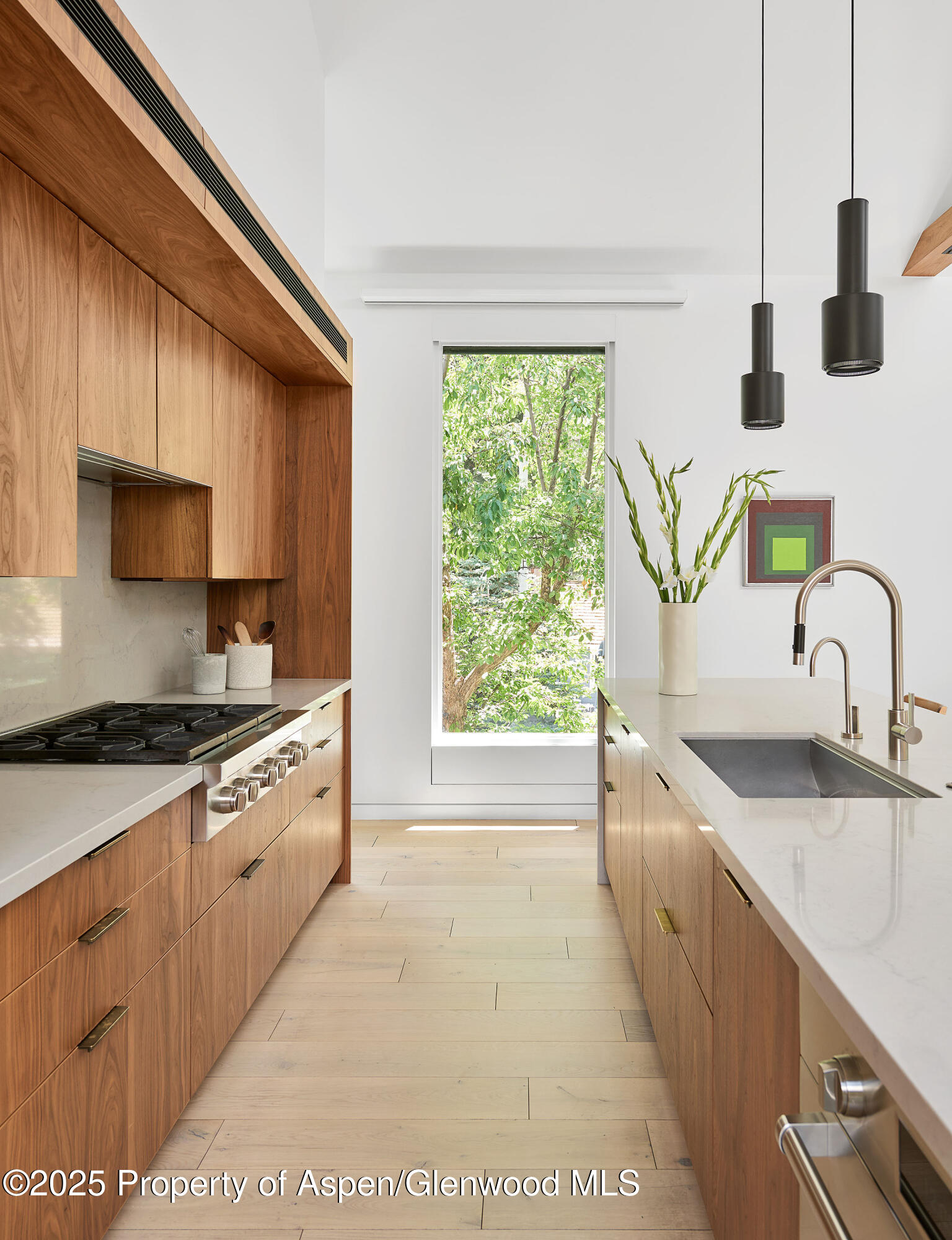 612 W Francis Street Aspen CO 81611