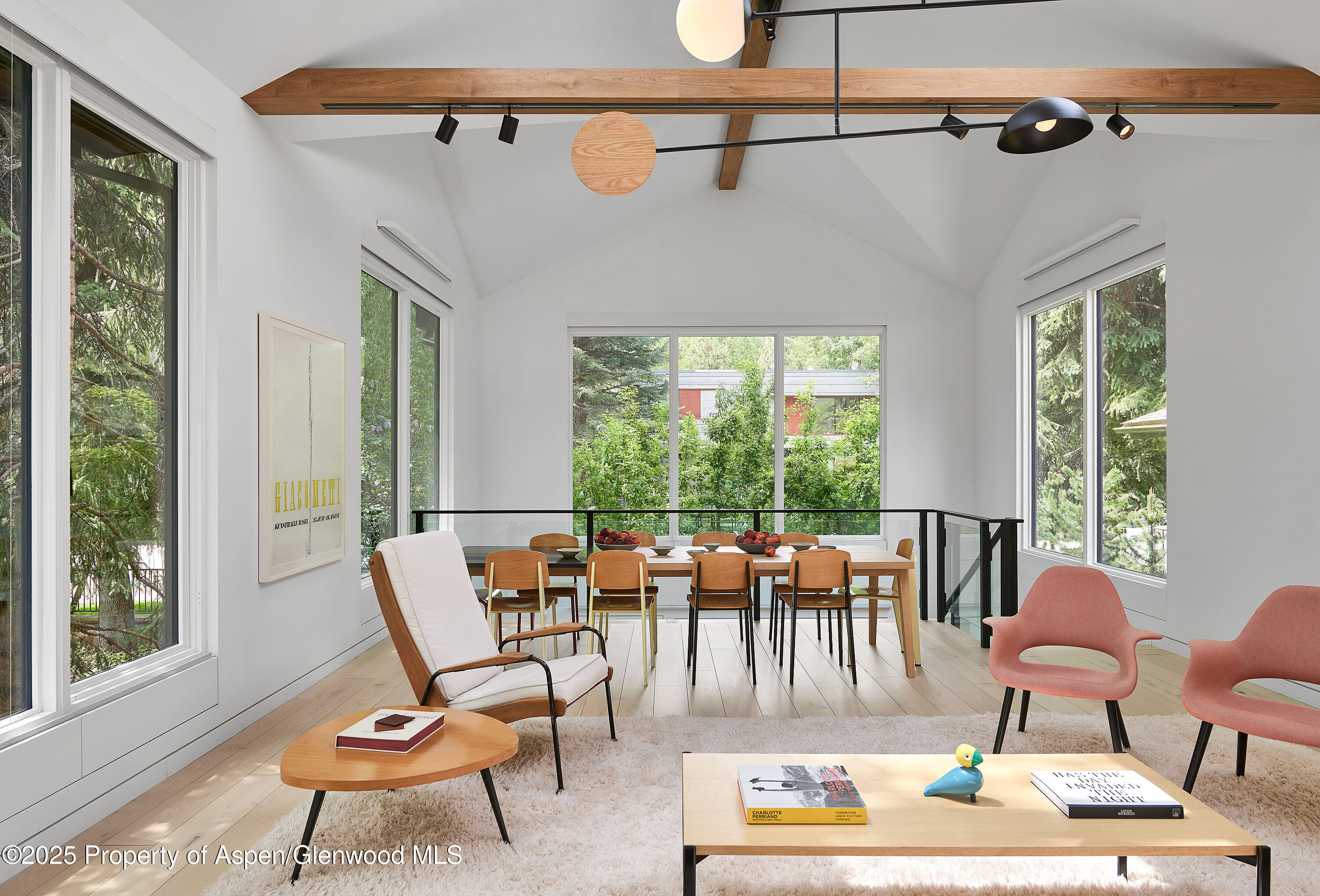 612 W Francis Street Aspen CO 81611