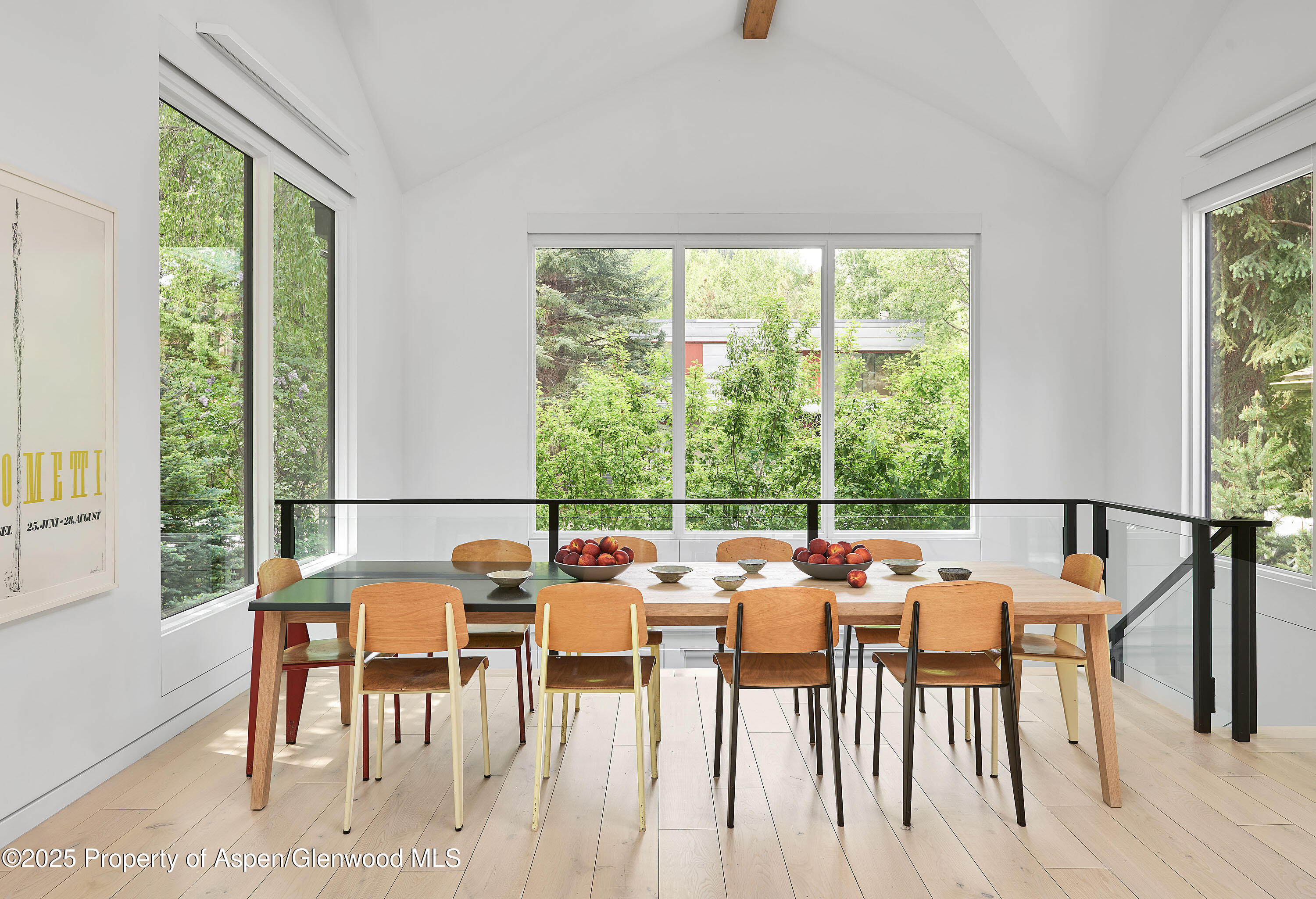 612 W Francis Street Aspen CO 81611