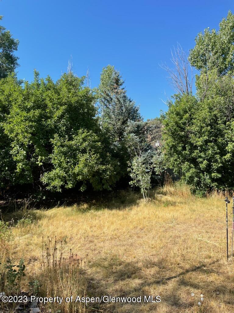 1442 Greystone Drive Carbondale CO 81623