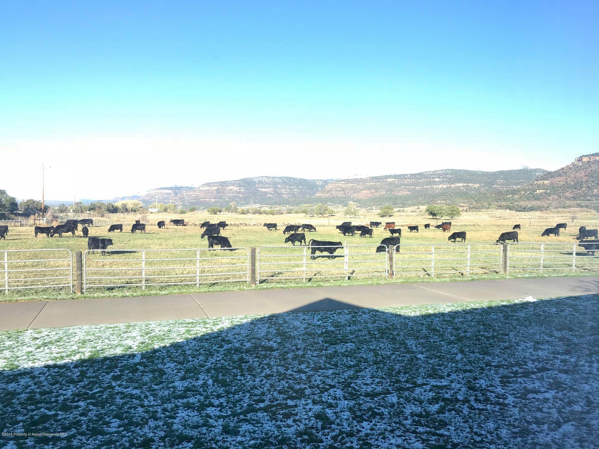 62548 Highway 330 E Collbran CO 81624