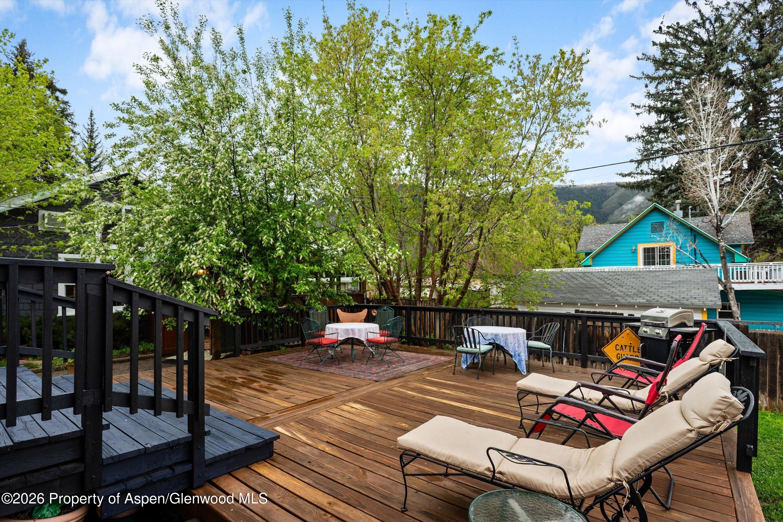 1017 Cooper Avenue Glenwood Springs CO 81601
