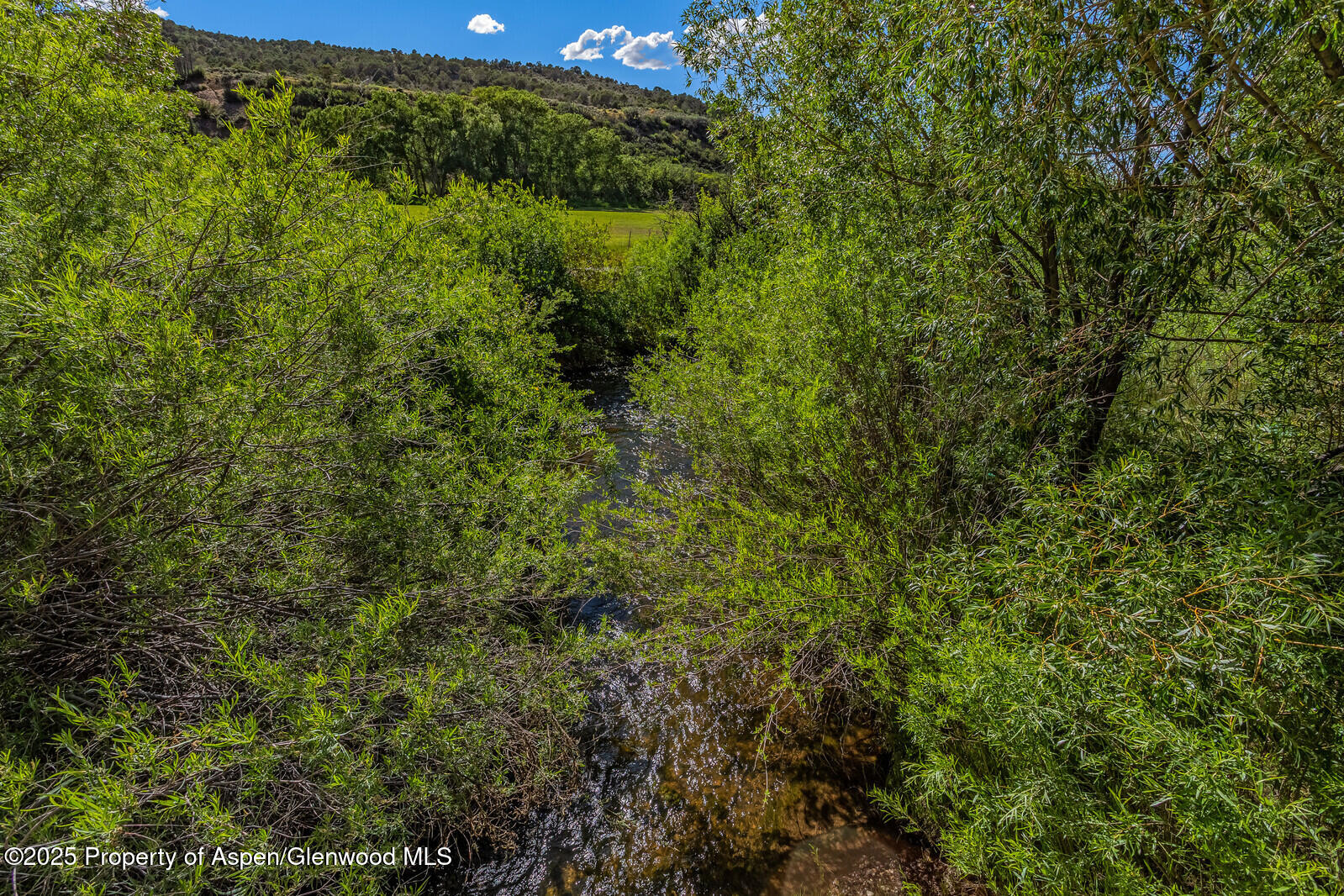 902/904 Sopris Creek Road Basalt CO 81621