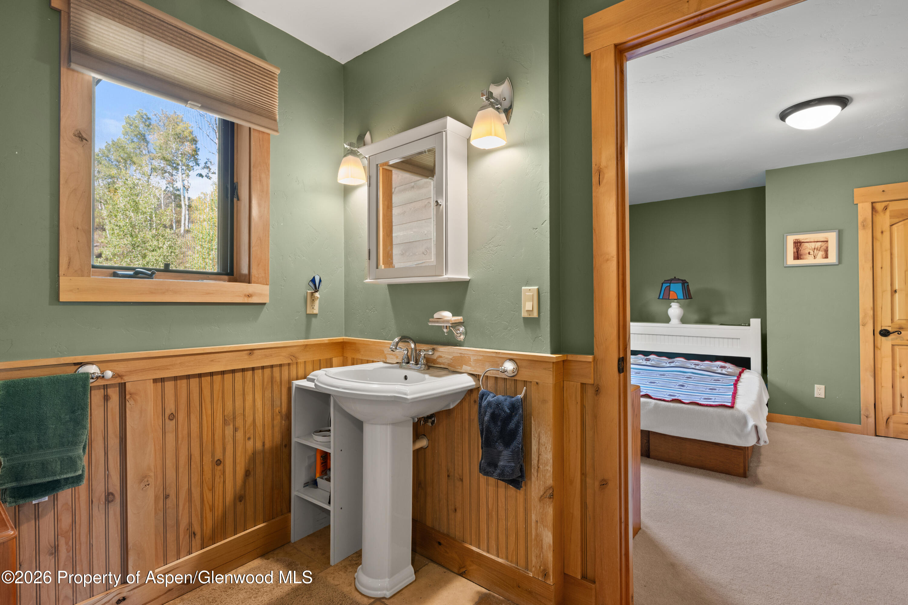 372 Hawk Lane Basalt CO 81621