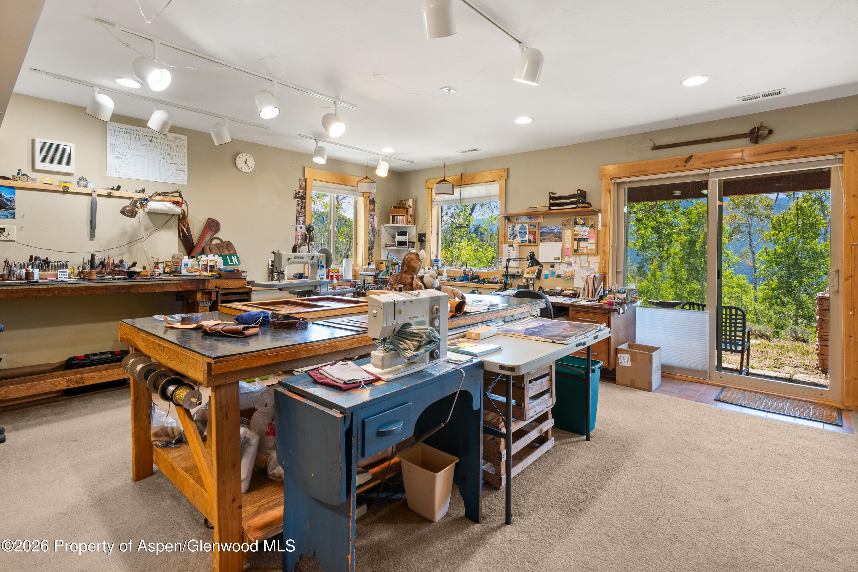 372 Hawk Lane Basalt CO 81621