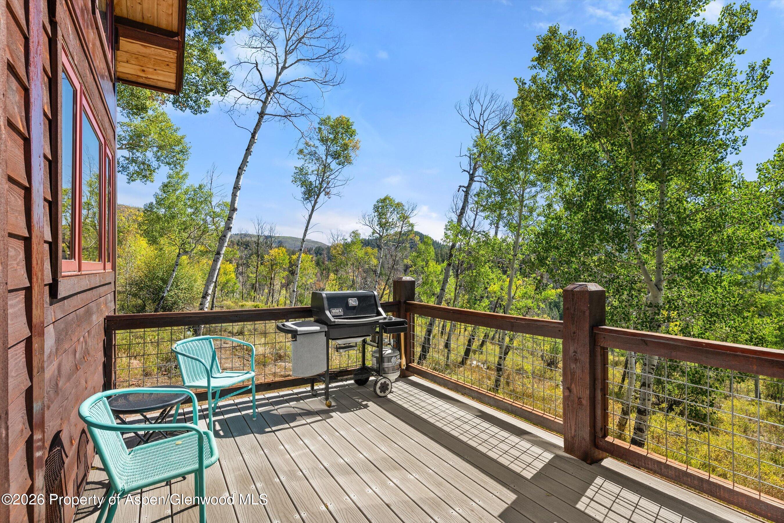 372 Hawk Lane Basalt CO 81621