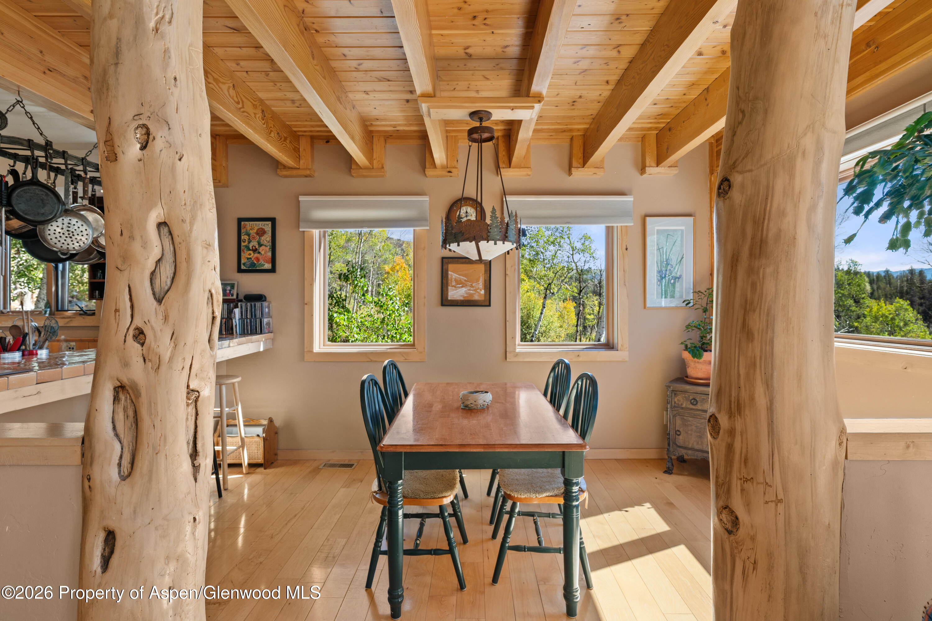 372 Hawk Lane Basalt CO 81621