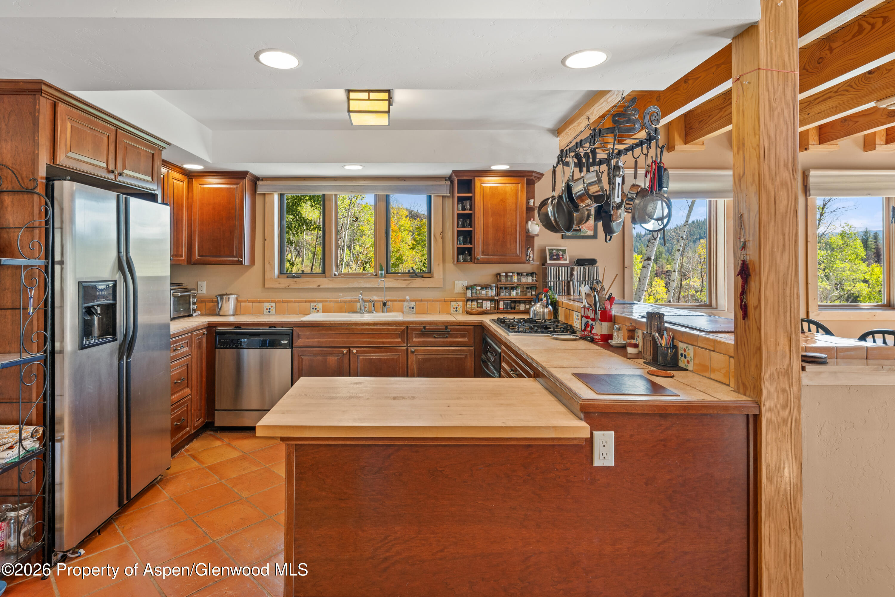 372 Hawk Lane Basalt CO 81621