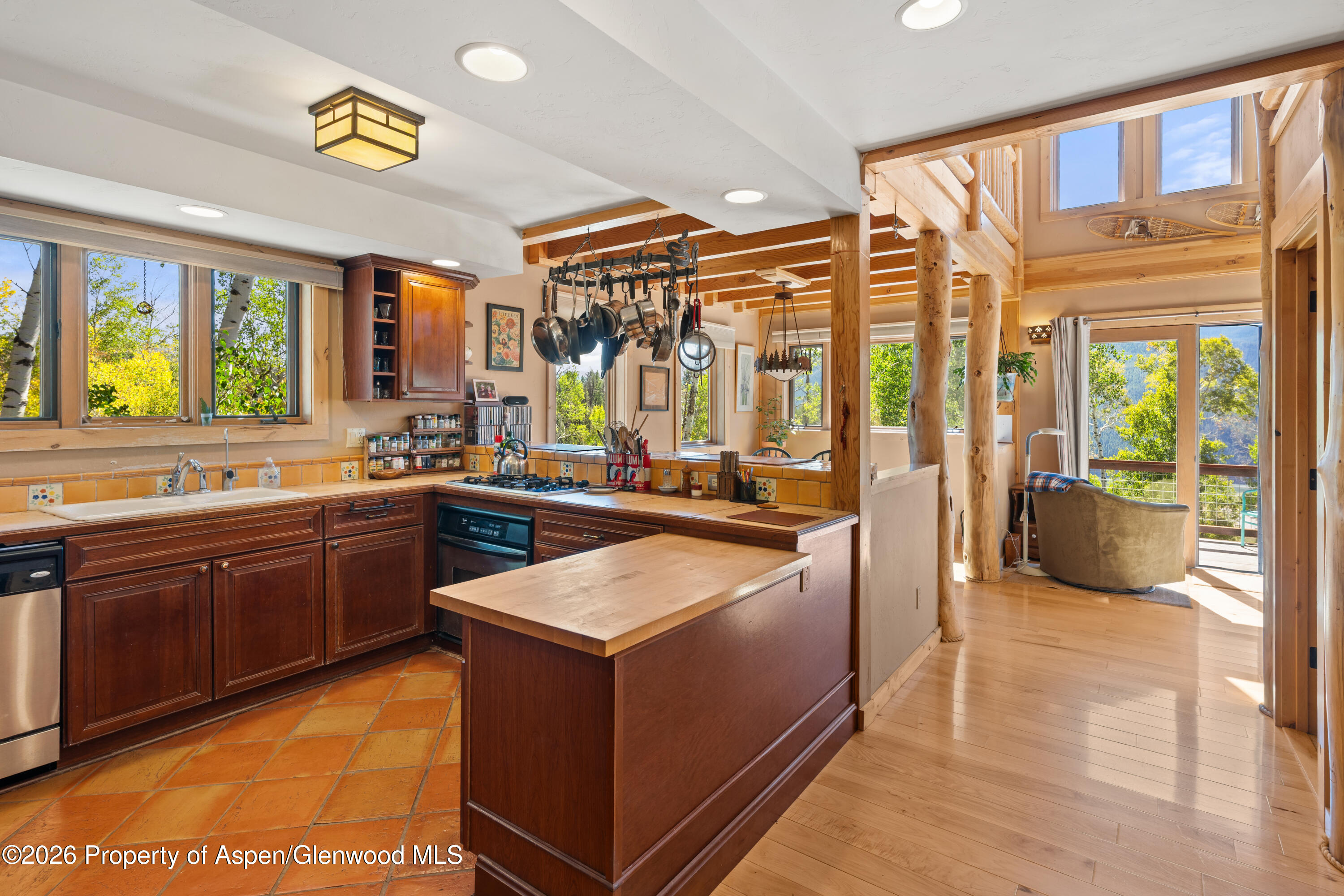 372 Hawk Lane Basalt CO 81621