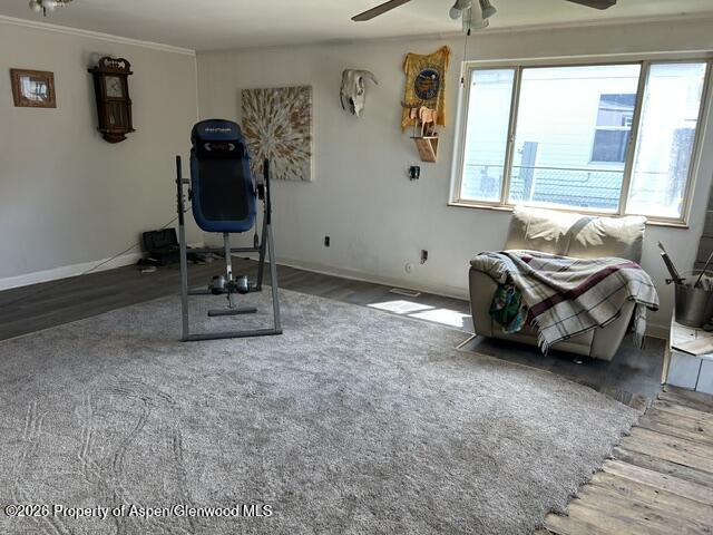 322 Sage Court Craig CO 81625