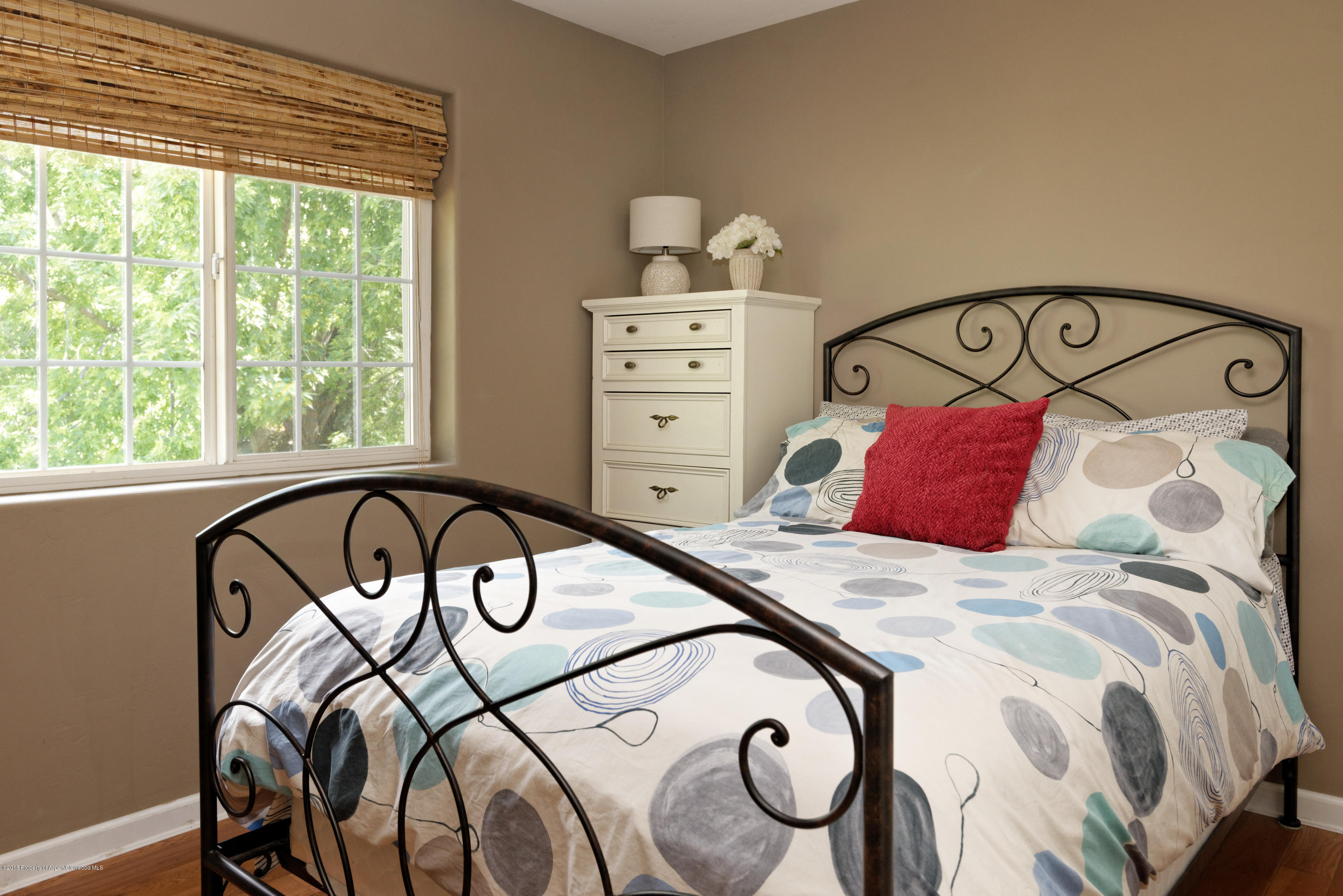10 Deer Run Carbondale CO 81623