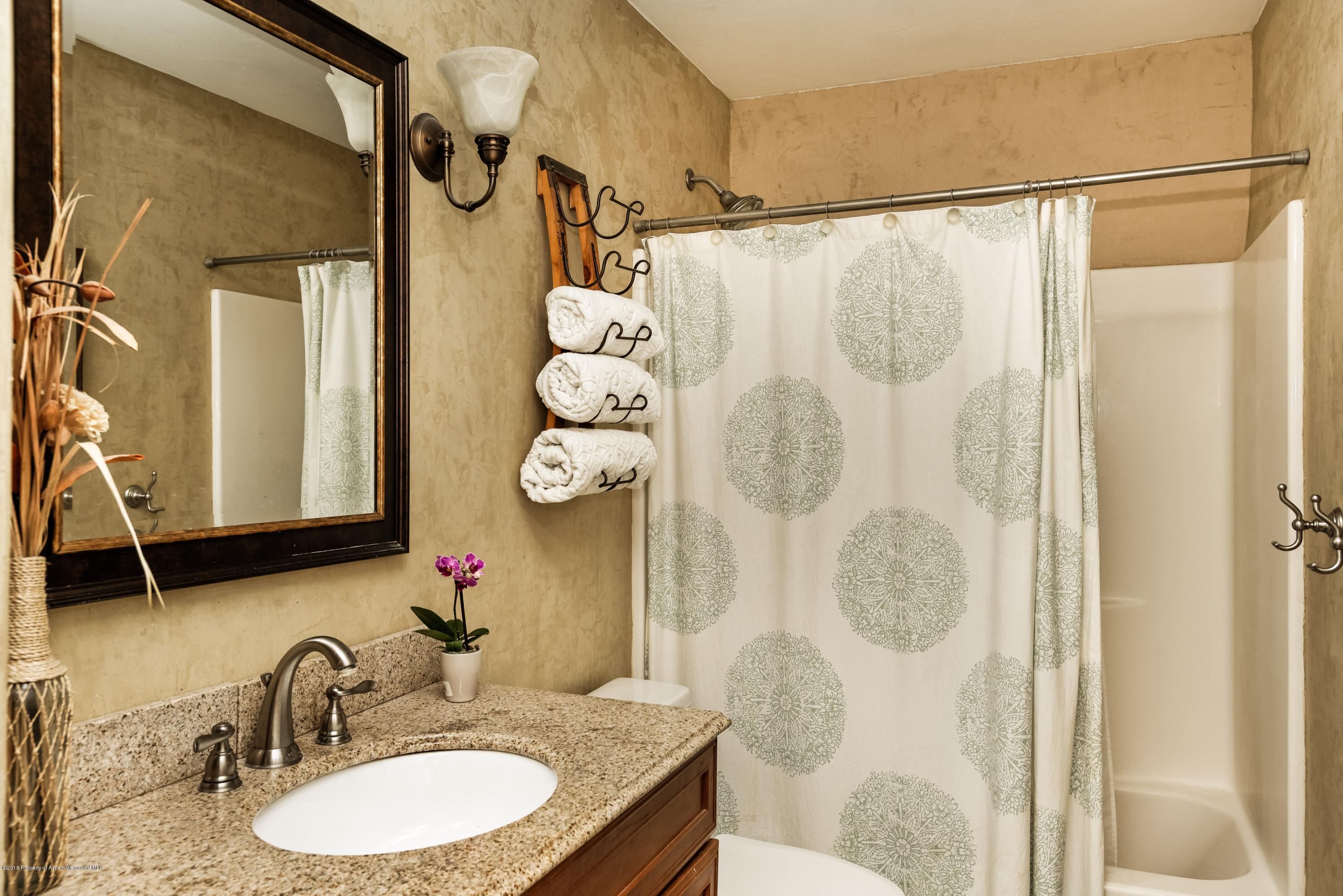 10 Deer Run Carbondale CO 81623