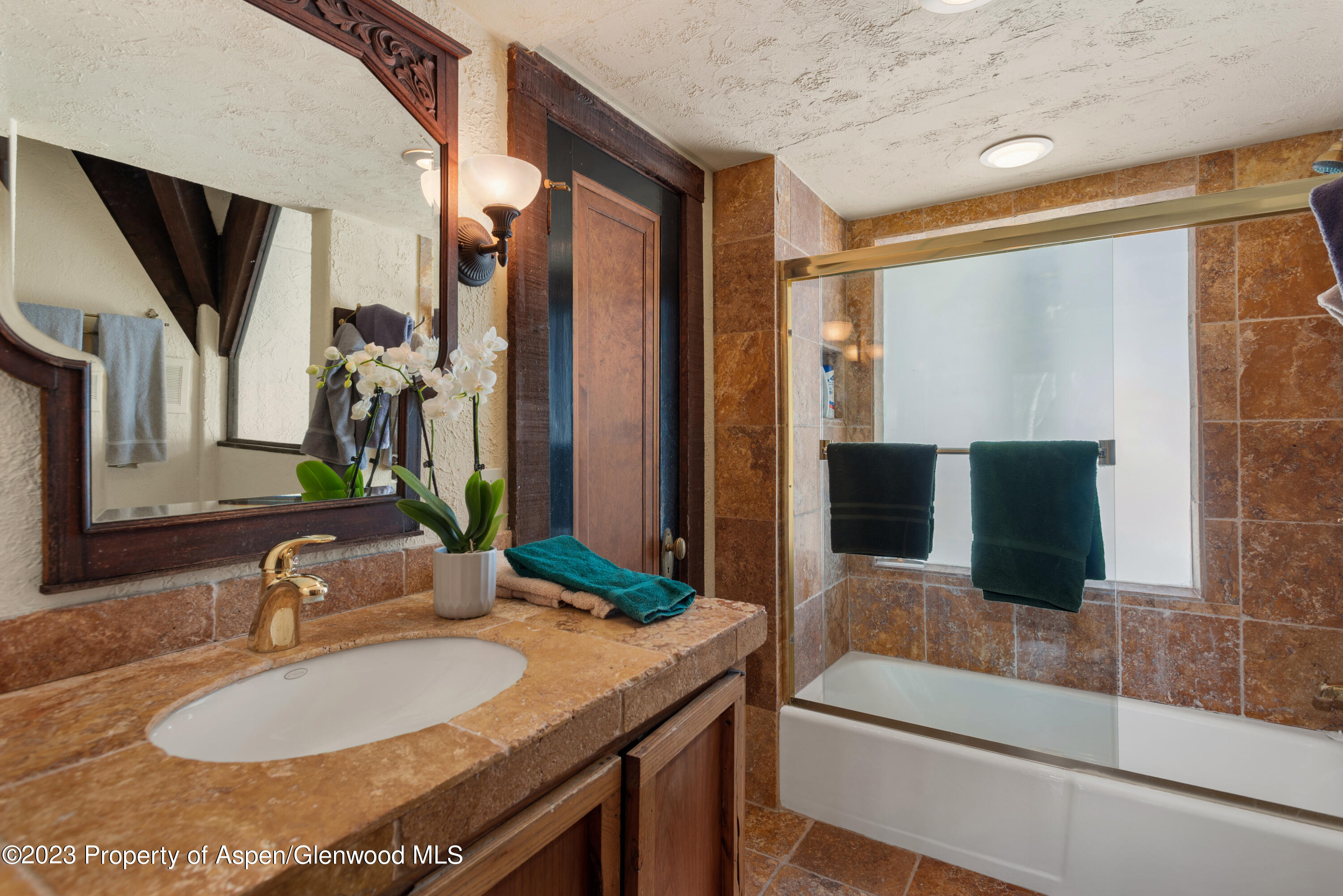 0184 Mountain Laurel Drive Aspen CO 81611