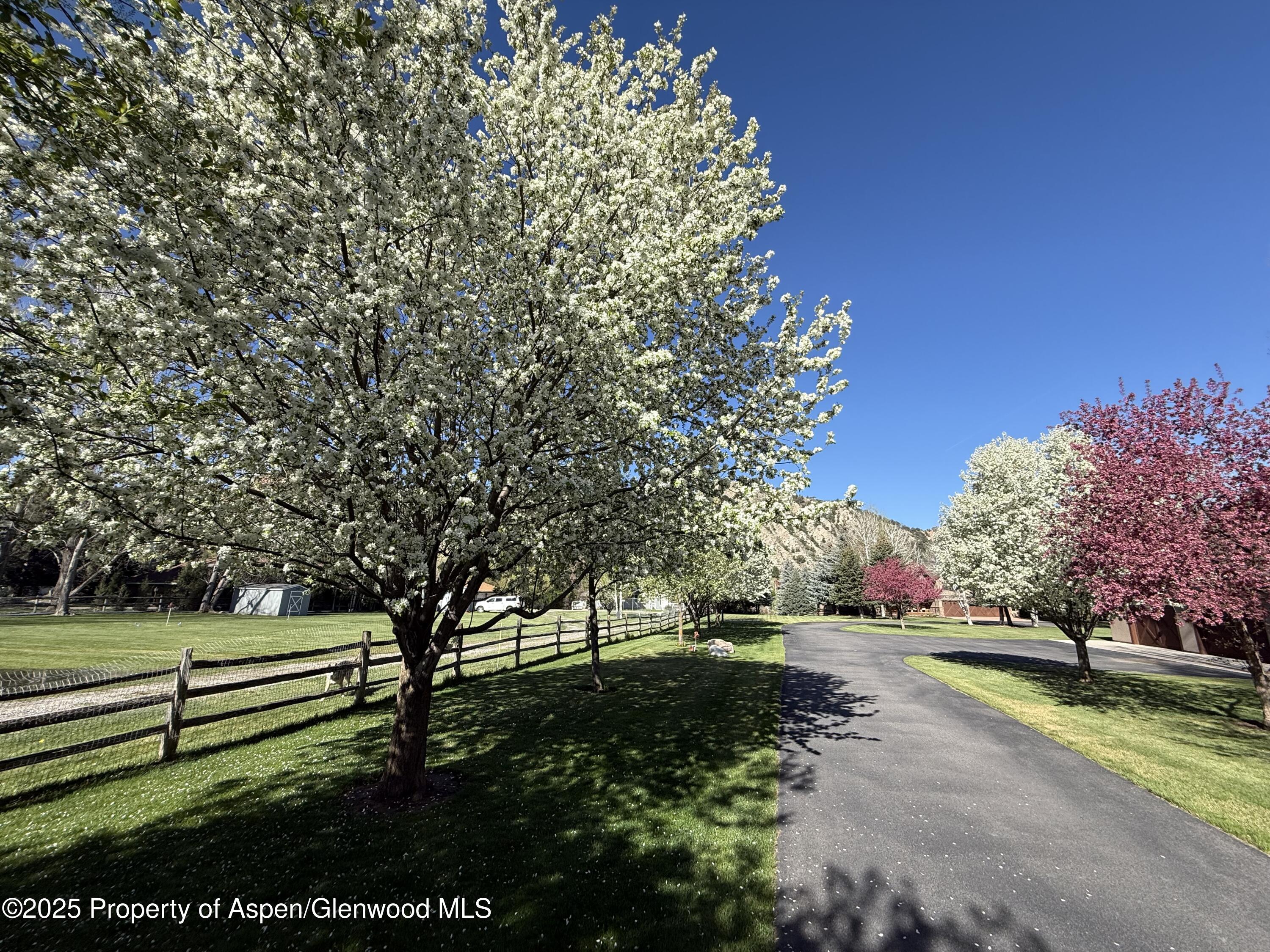 495 County Road 167 Glenwood Springs CO 81601