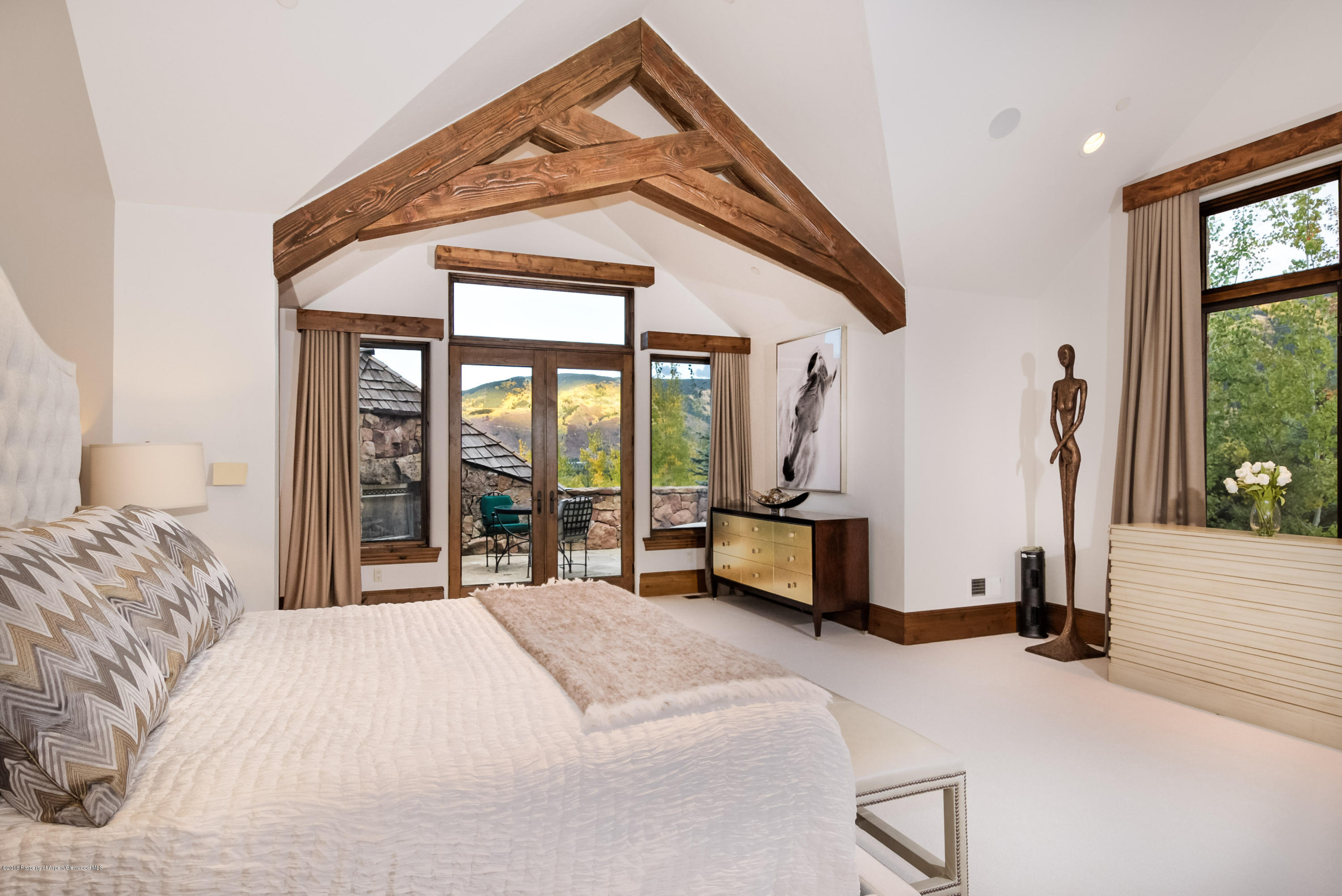 45 N Willow Court Aspen CO 81611