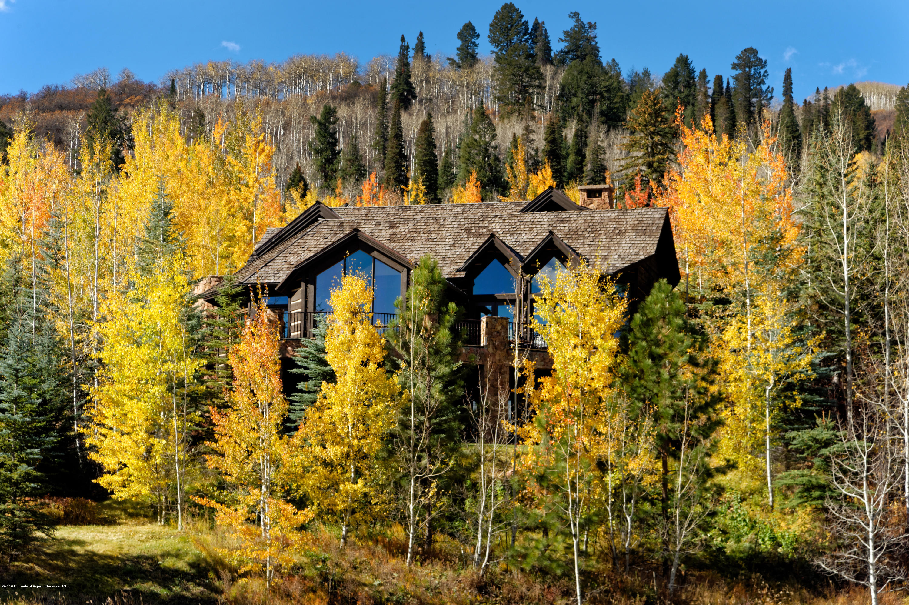 45 N Willow Court Aspen CO 81611