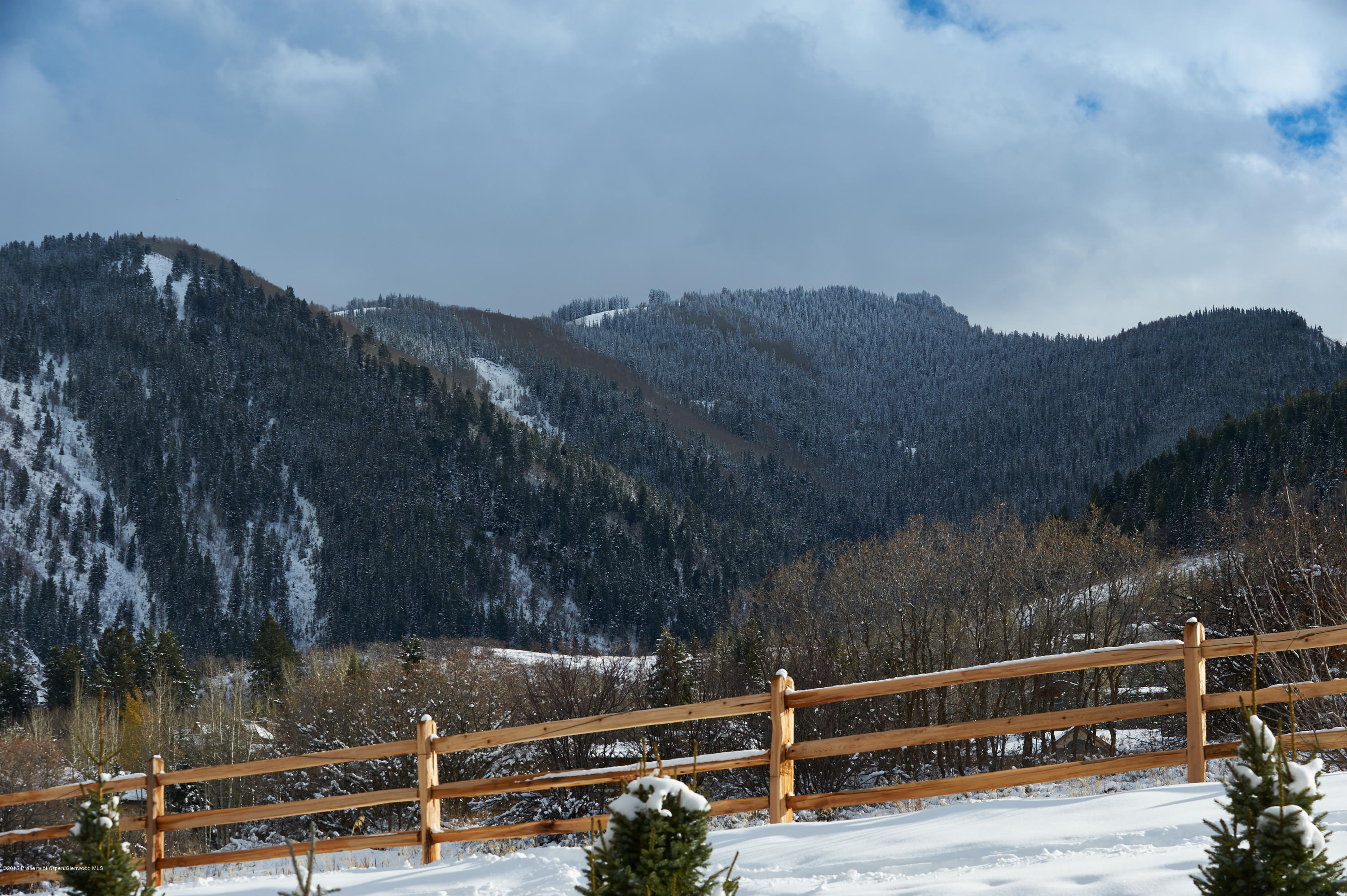 293 Heather Lane Aspen CO 81611