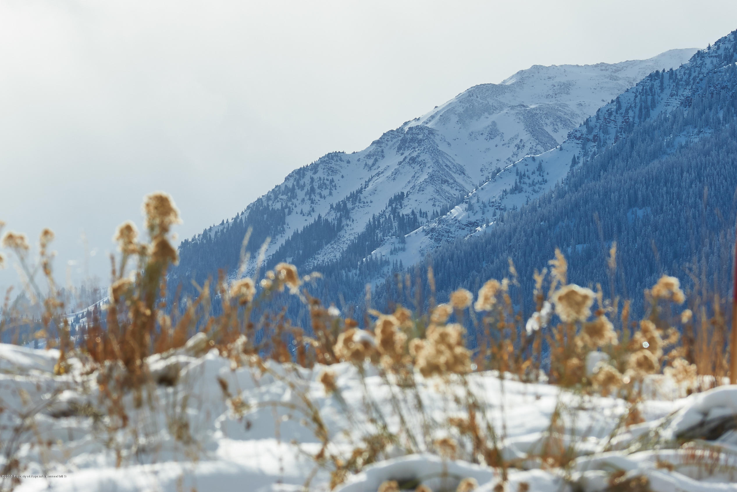 293 Heather Lane Aspen CO 81611