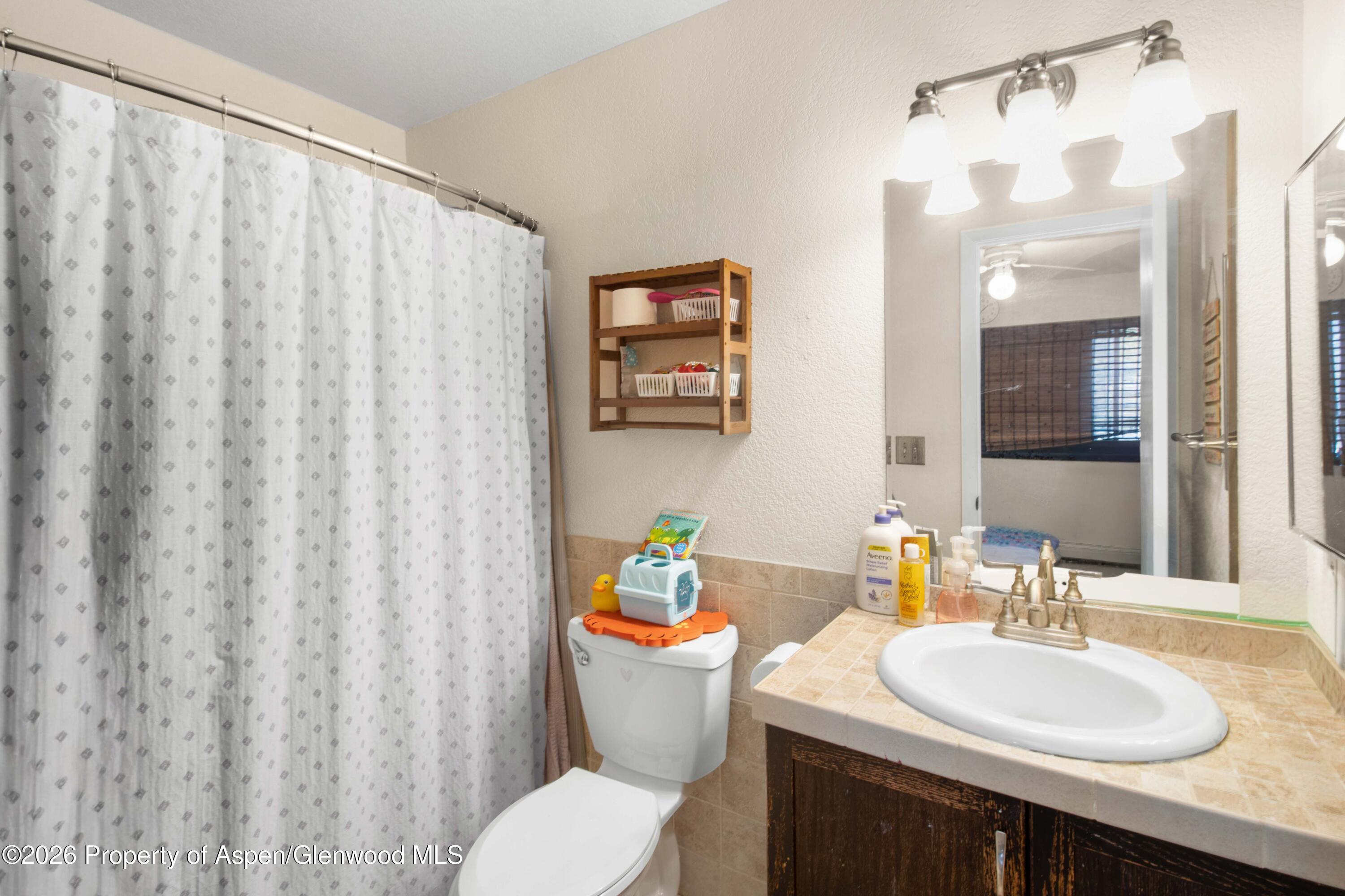 323 Park Avenue Basalt CO 81621