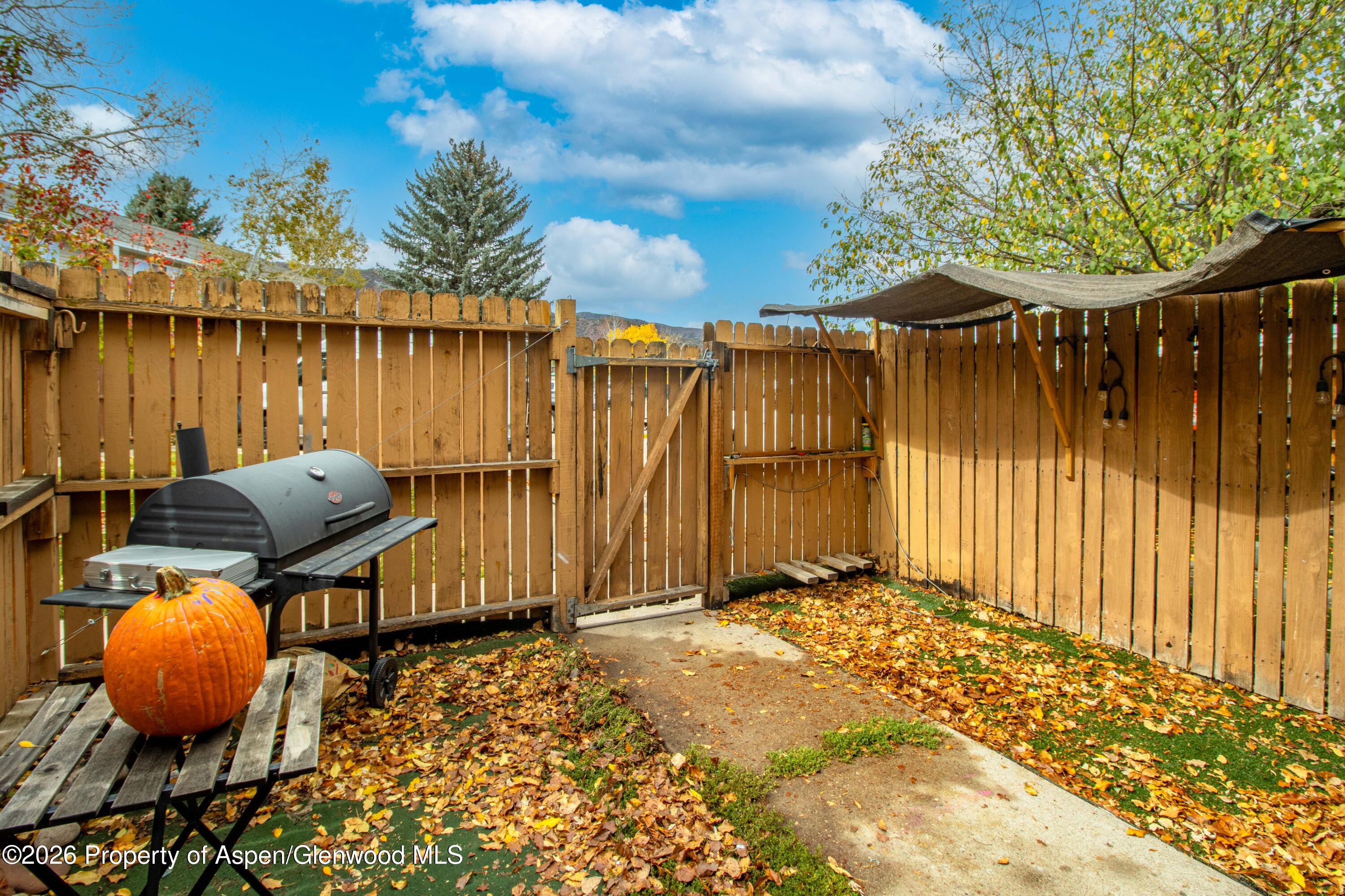 323 Park Avenue Basalt CO 81621