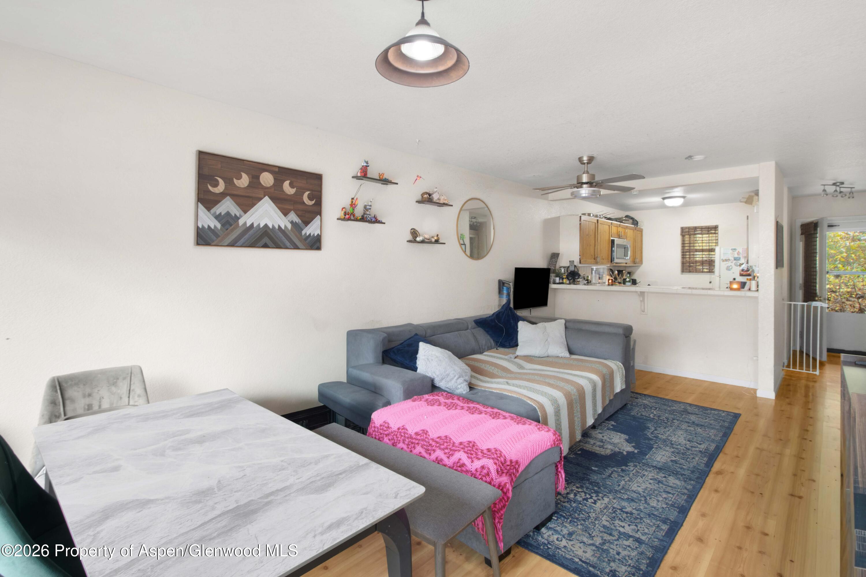 323 Park Avenue Basalt CO 81621