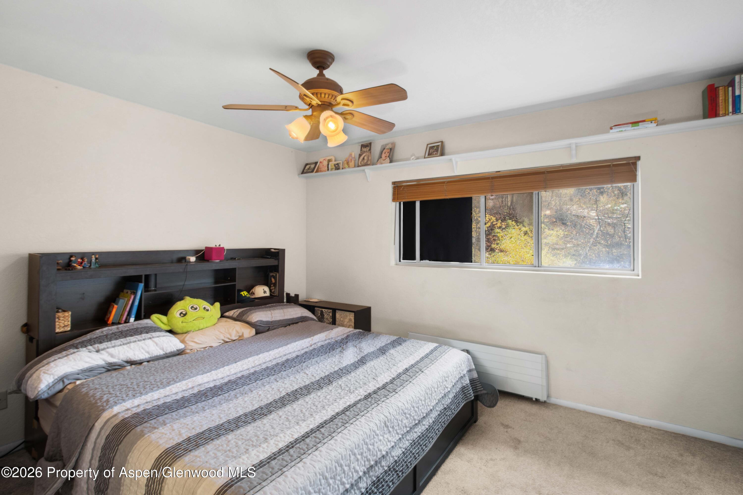 323 Park Avenue Basalt CO 81621