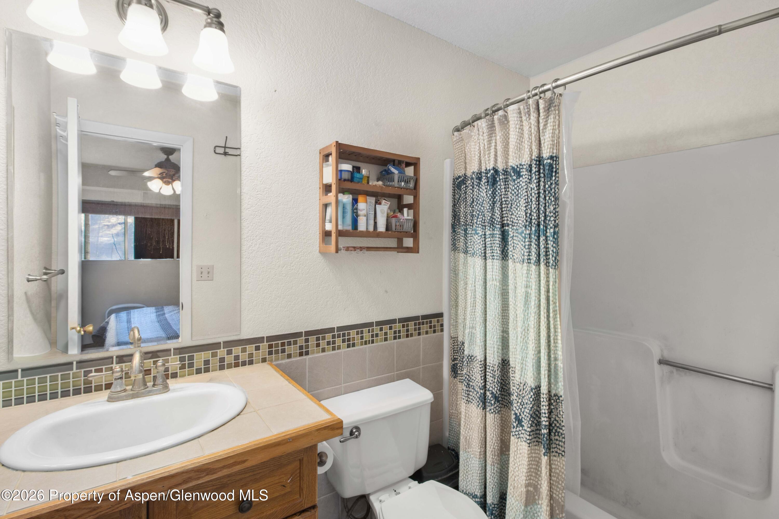 323 Park Avenue Basalt CO 81621