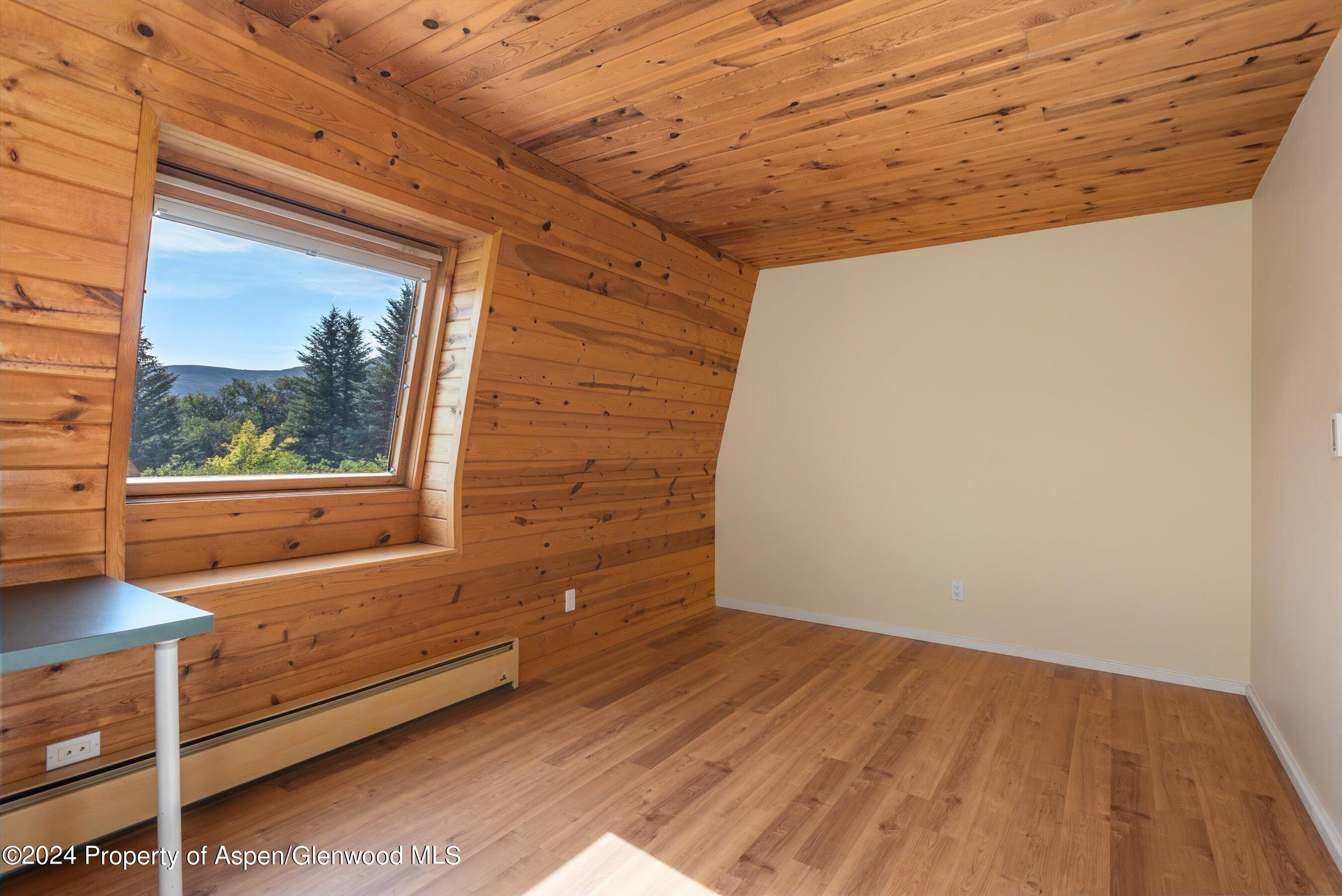 96 Little Elk Creek Avenue Snowmass CO 81654