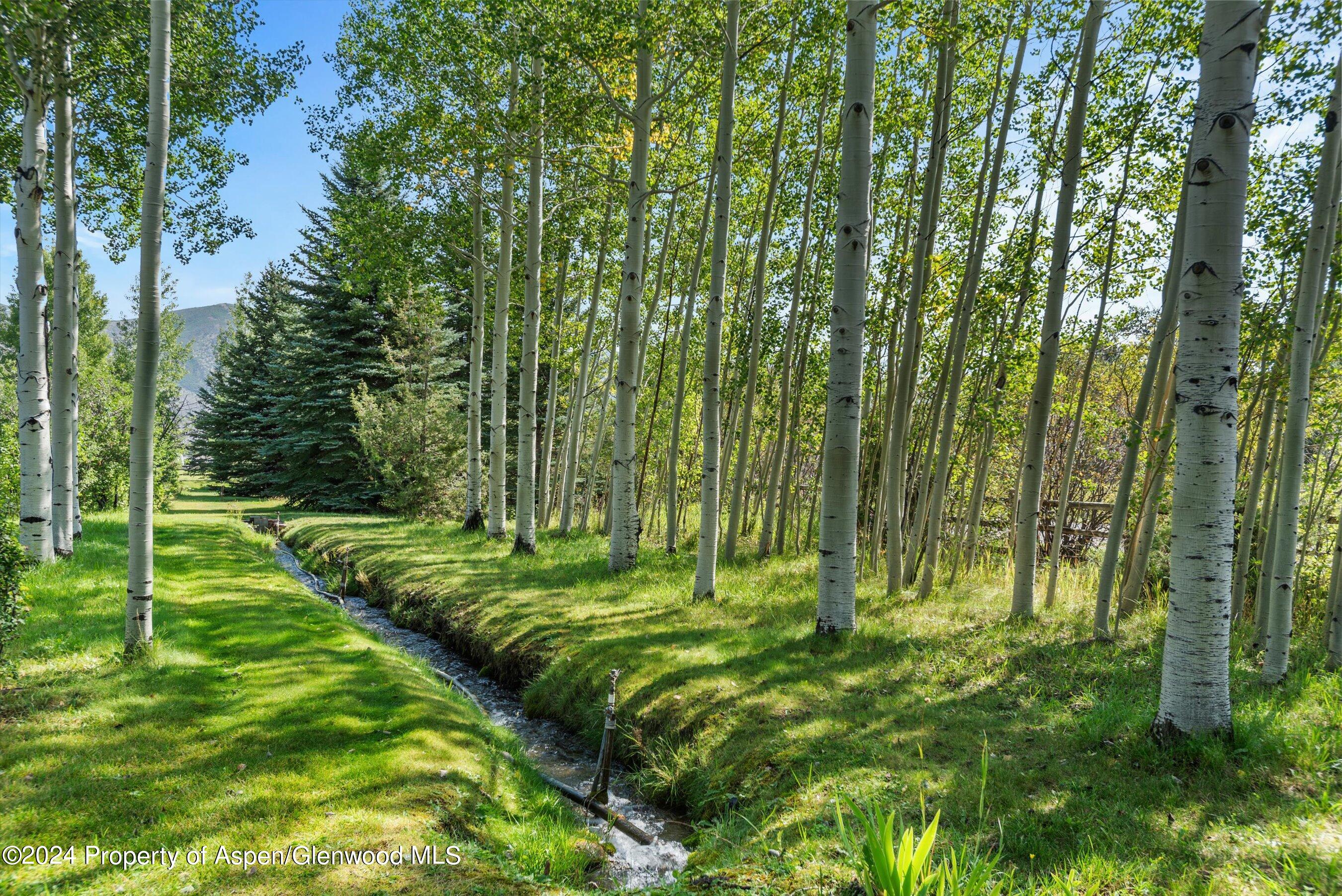 96 Little Elk Creek Avenue Snowmass CO 81654