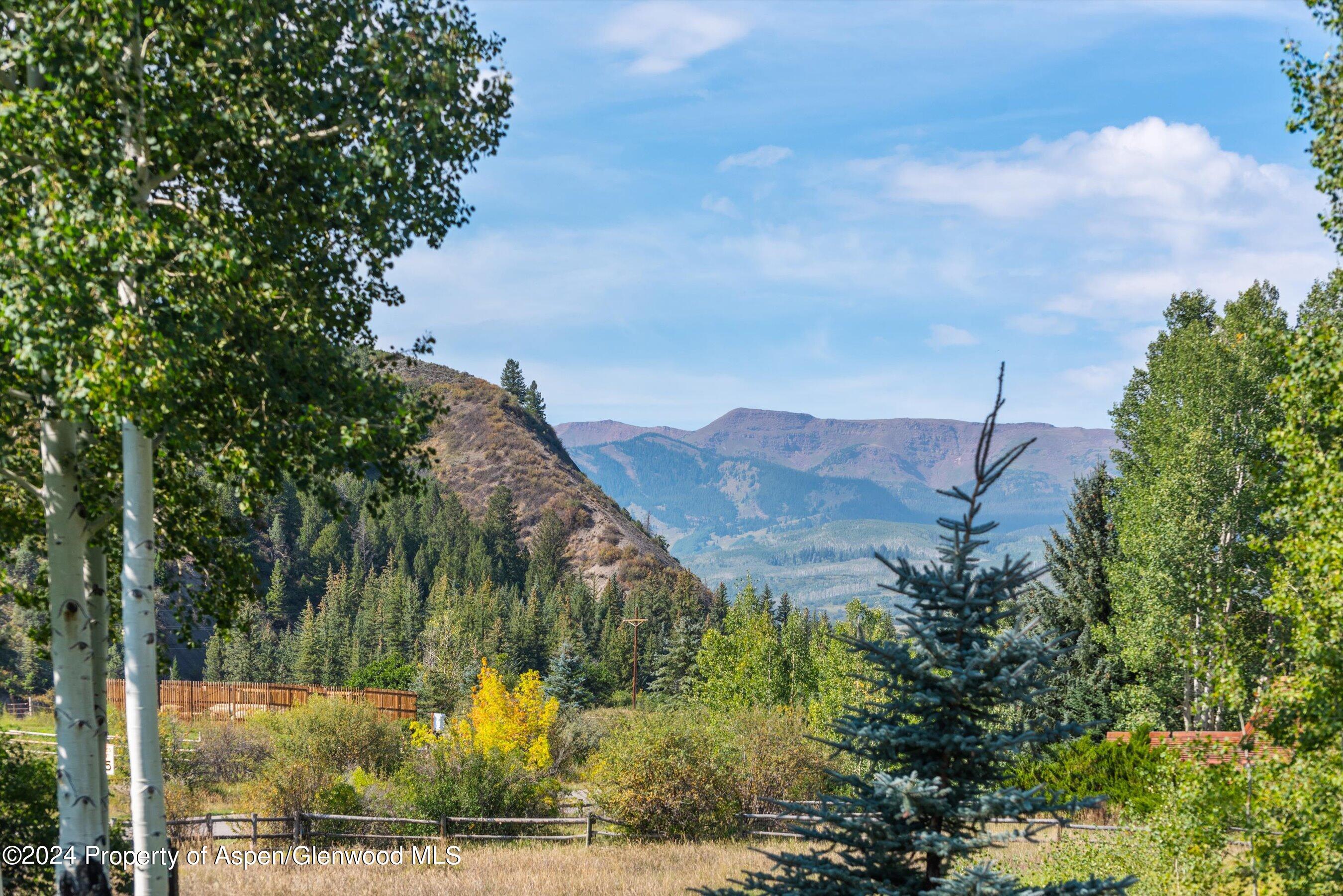 96 Little Elk Creek Avenue Snowmass CO 81654